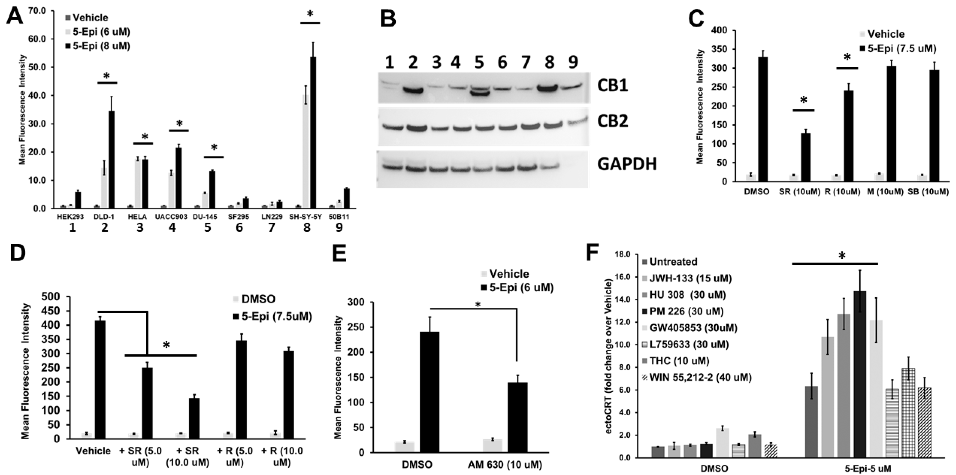 Cancers 16 03973 g001