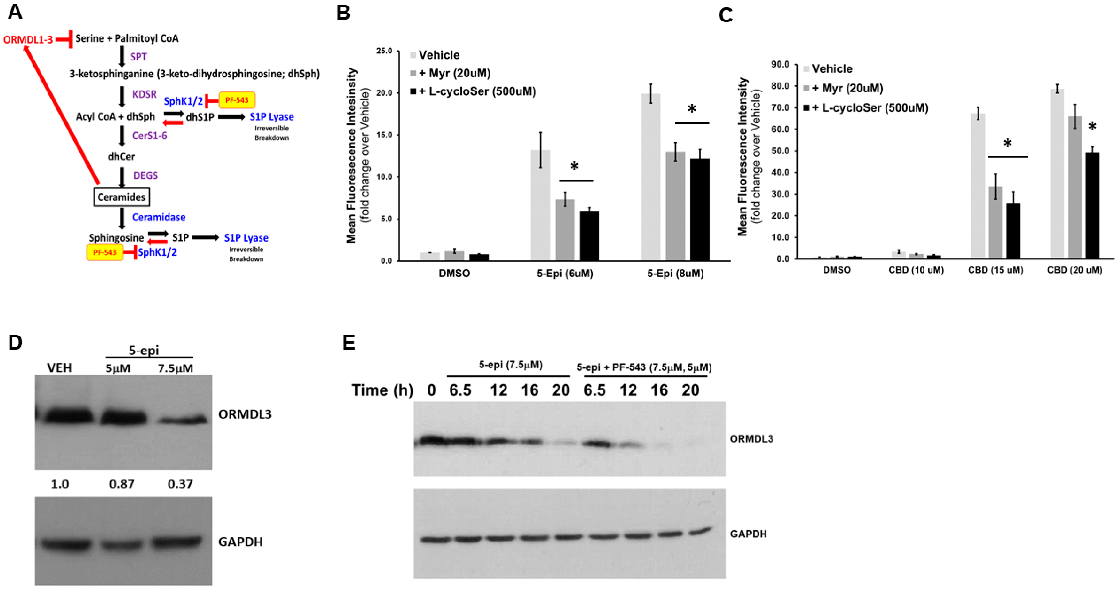 Cancers 16 03973 g003
