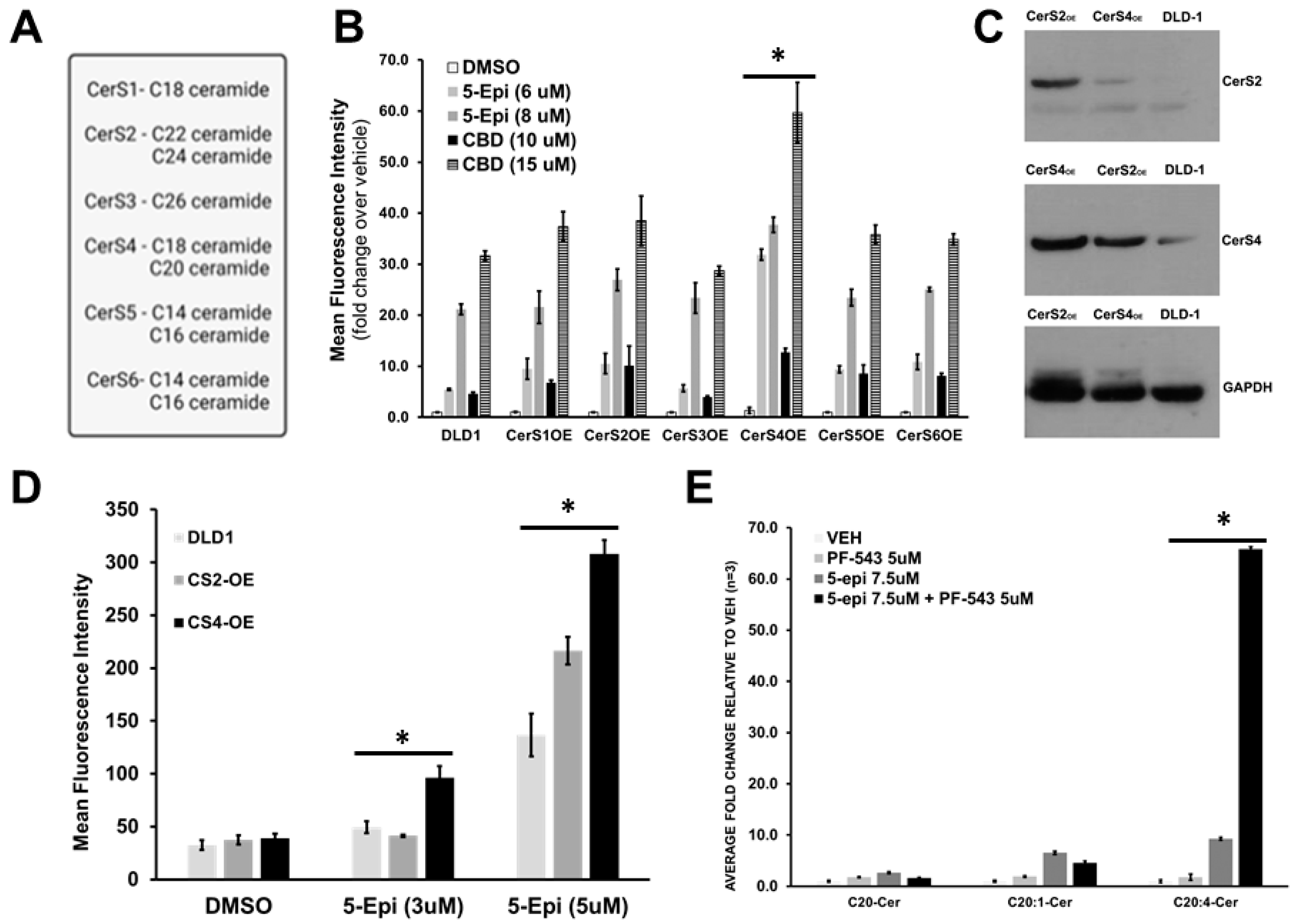 Cancers 16 03973 g004