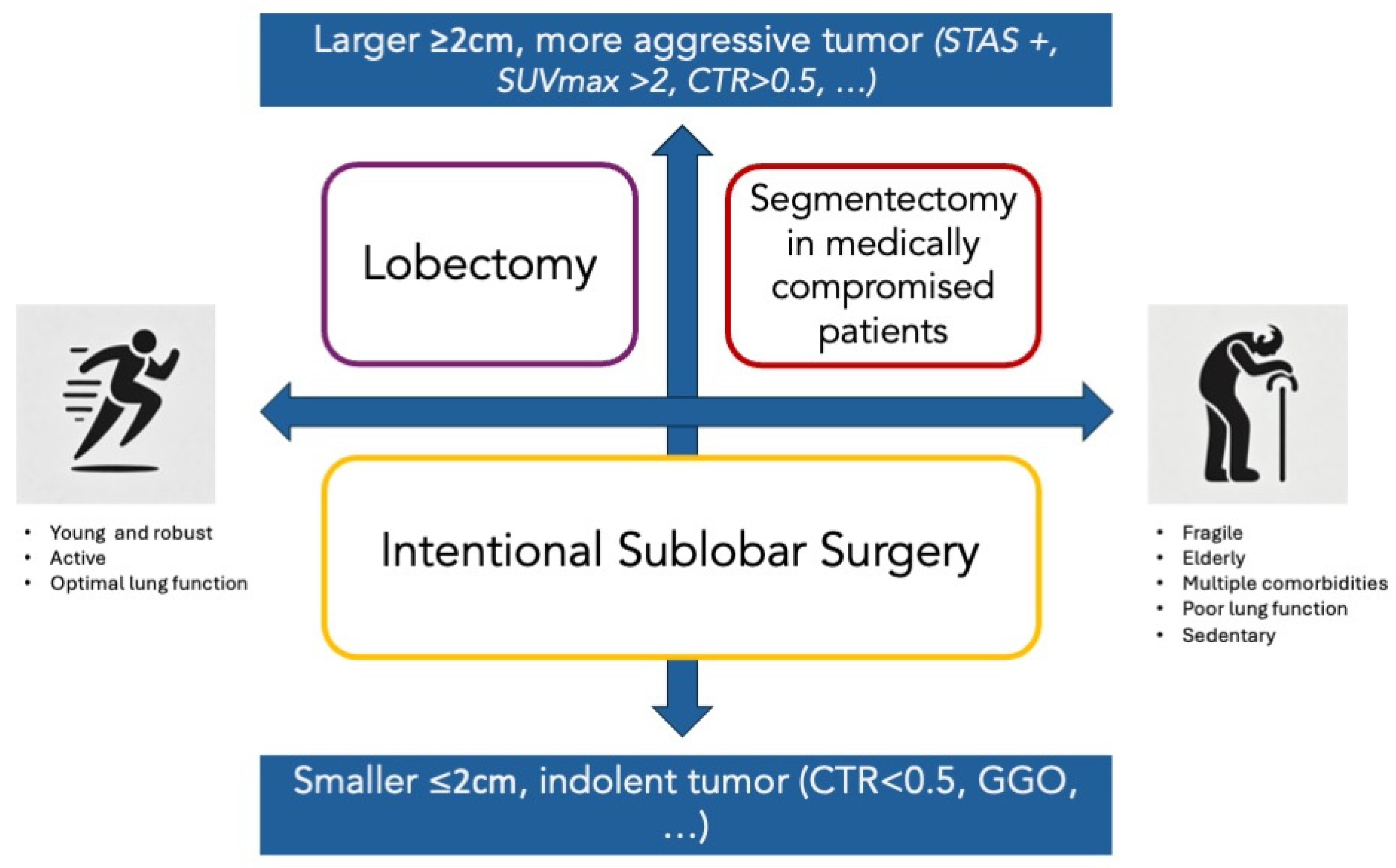 Cancers 16 03981 g001