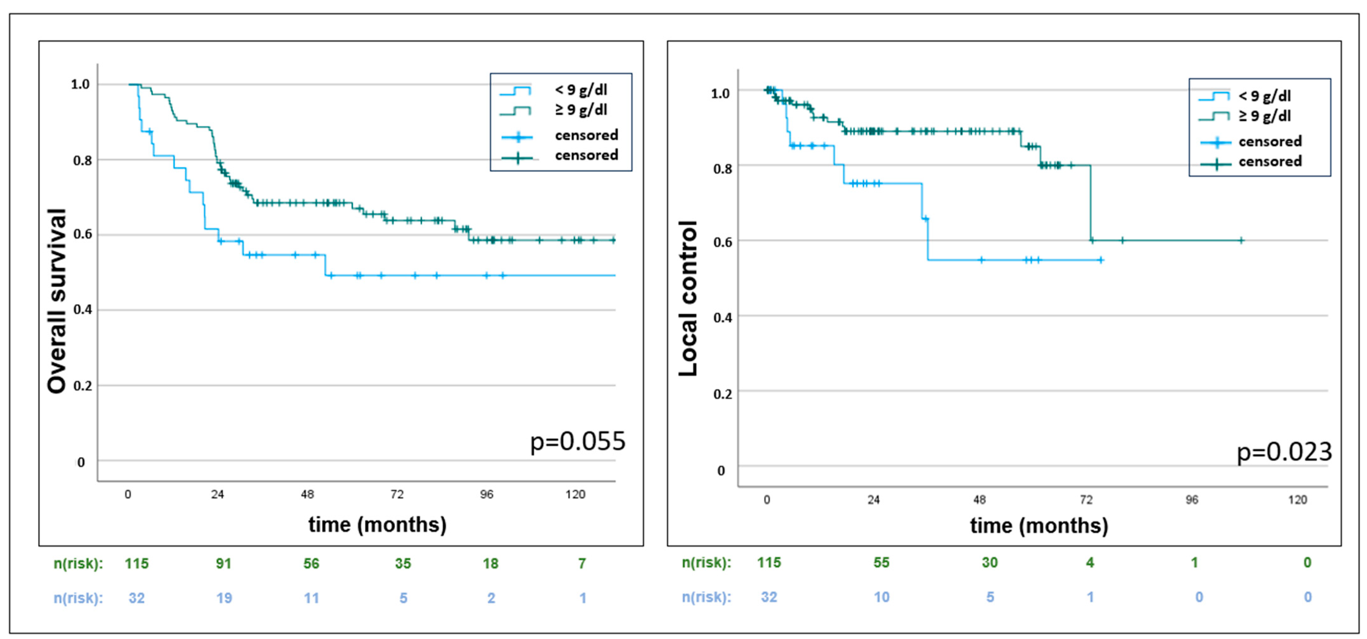 Cancers 16 03986 g004
