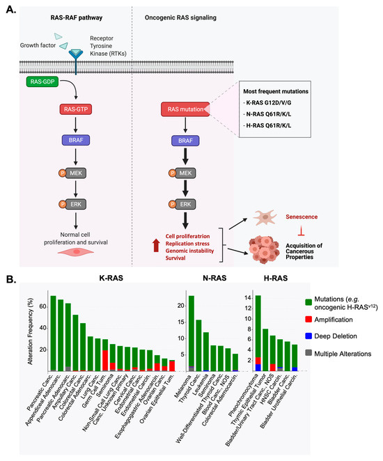 The role of chemokines in acute and chronic hepatitis C