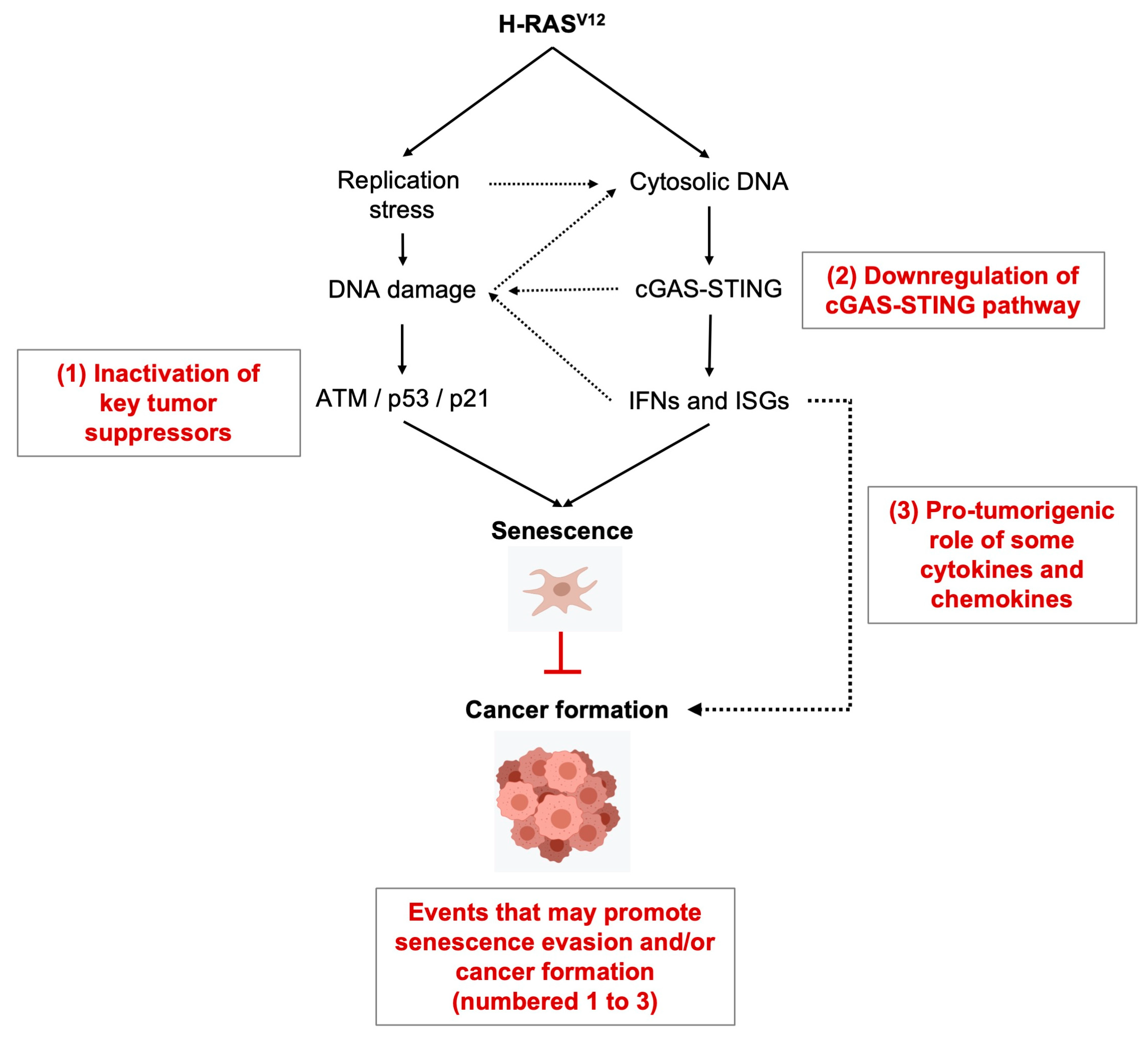 ミーナ Dual-Mode Arginine Assay Based on the Conformation Switch of