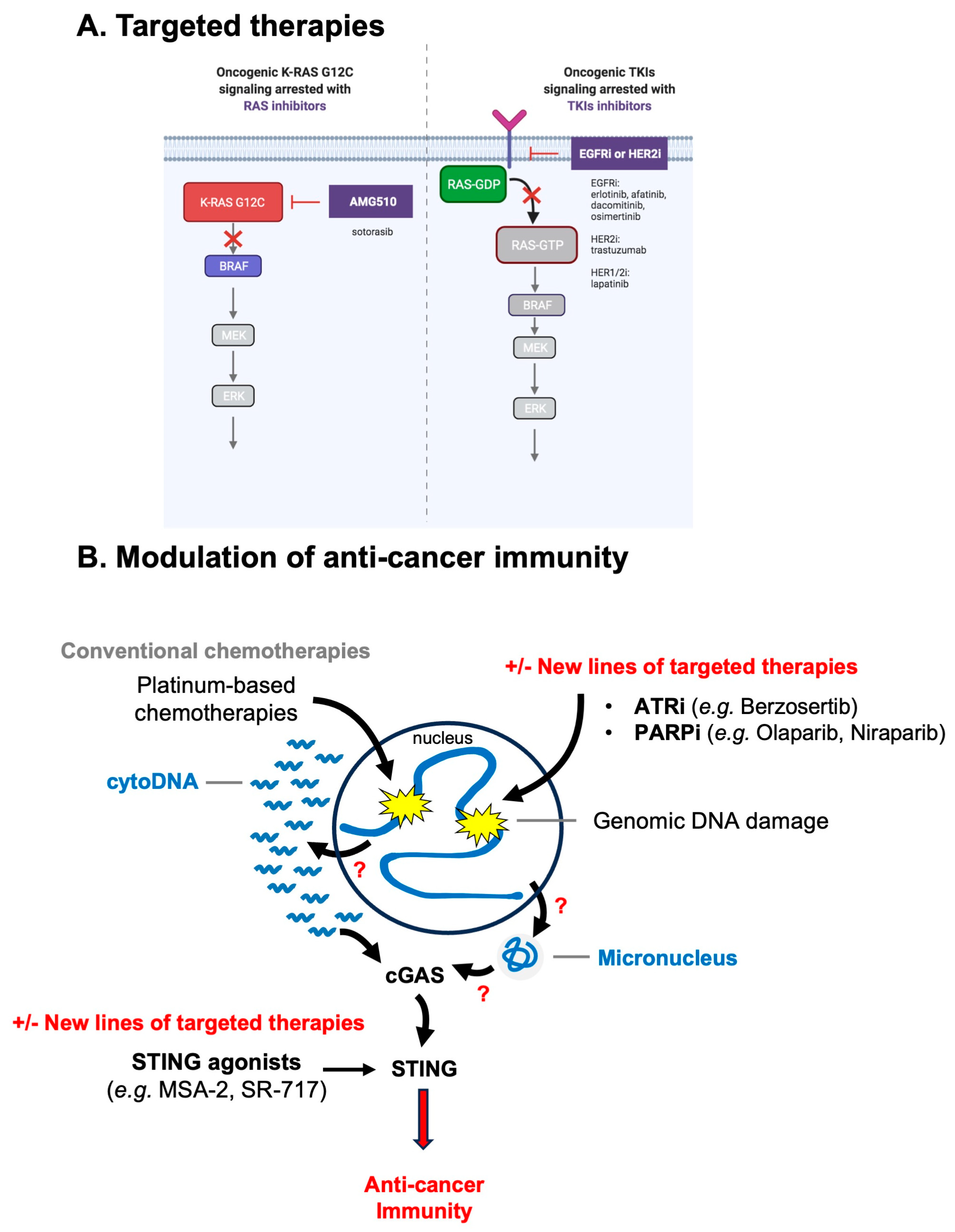 Oncogenic RAS in Cancers from the DNA Replication Stress and Oncogenic RAS in Cancers from the DNA Replication Stress and
