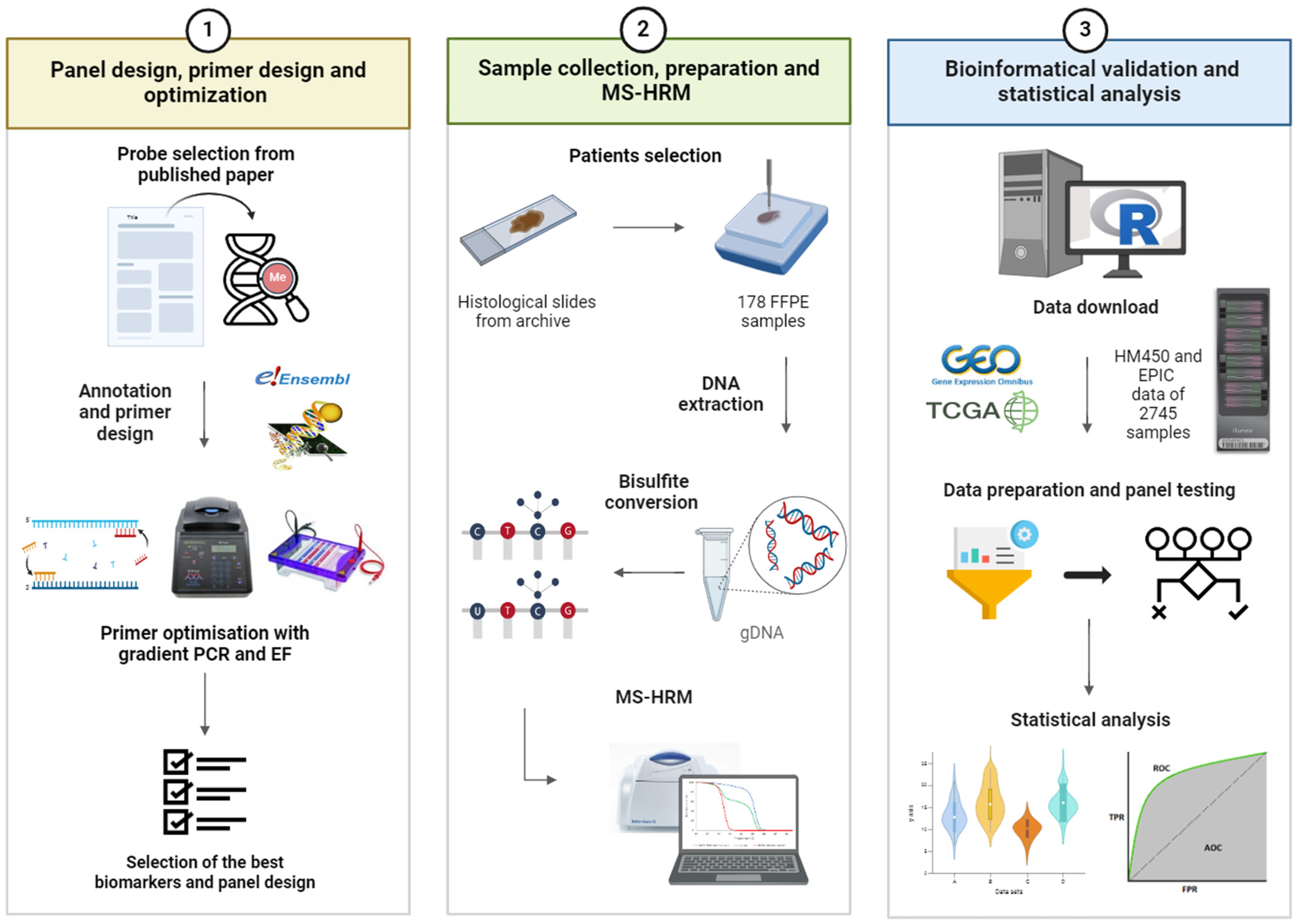 Cancers 16 04000 g001