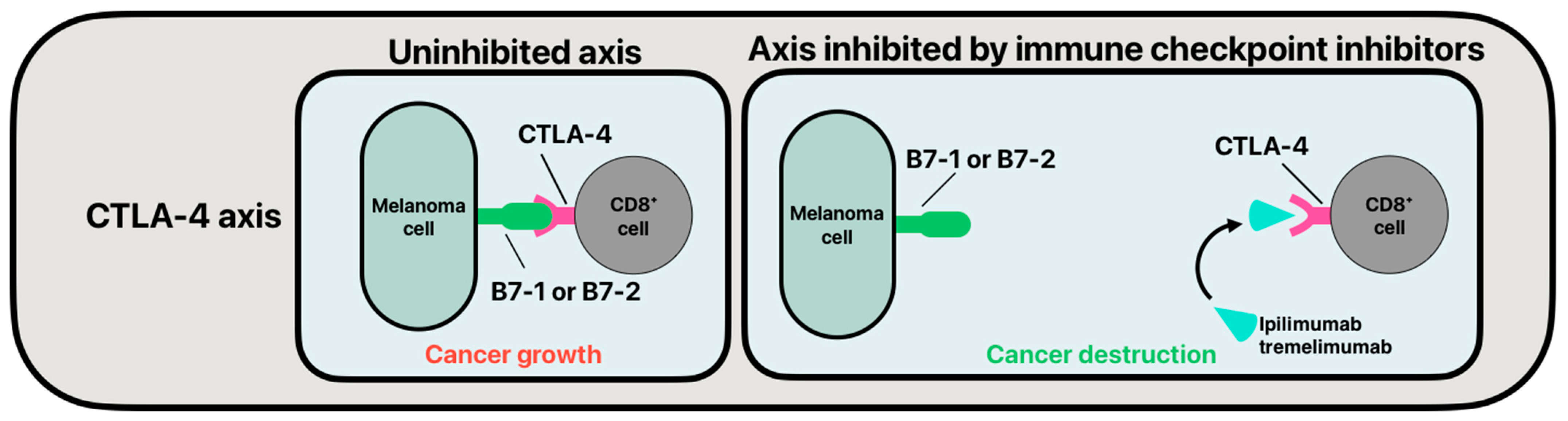 Cancers 16 04002 g001