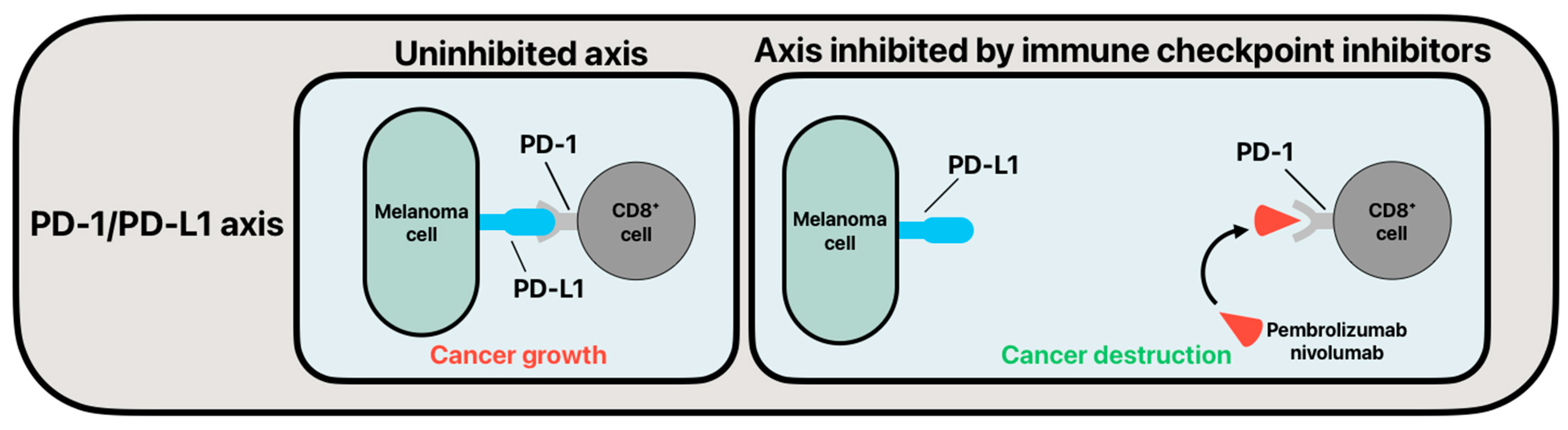 Cancers 16 04002 g002