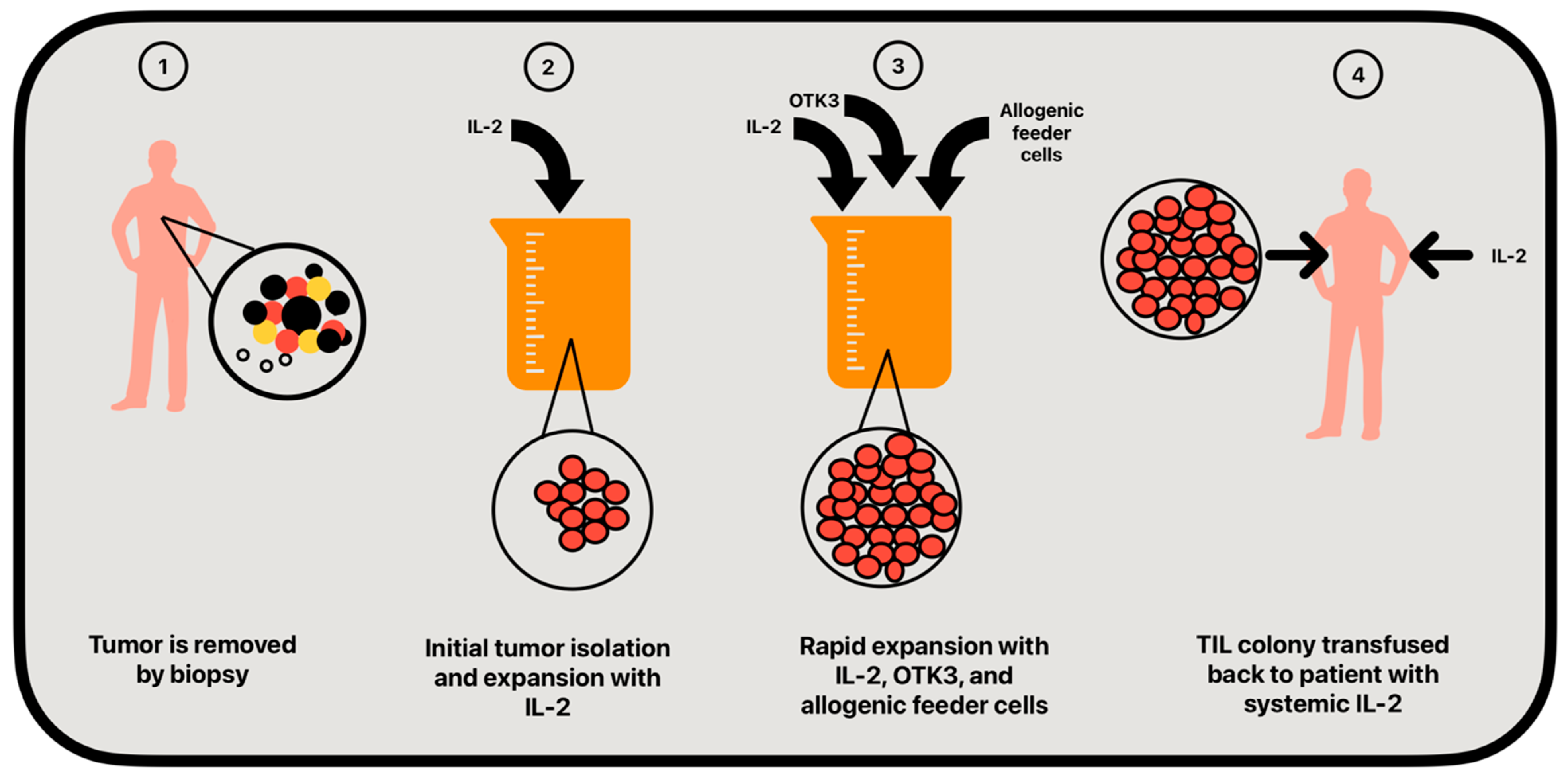 Cancers 16 04002 g003