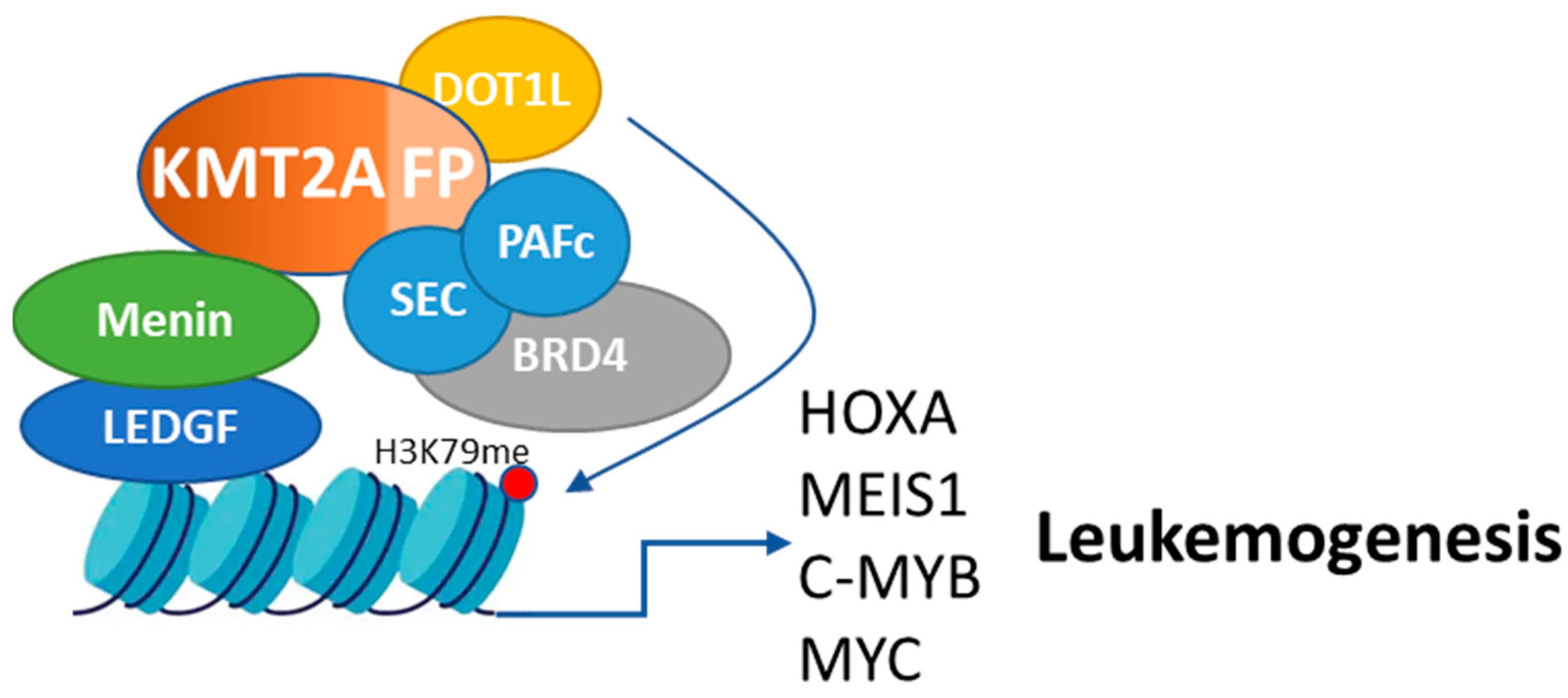 Cancers 16 04017 g001