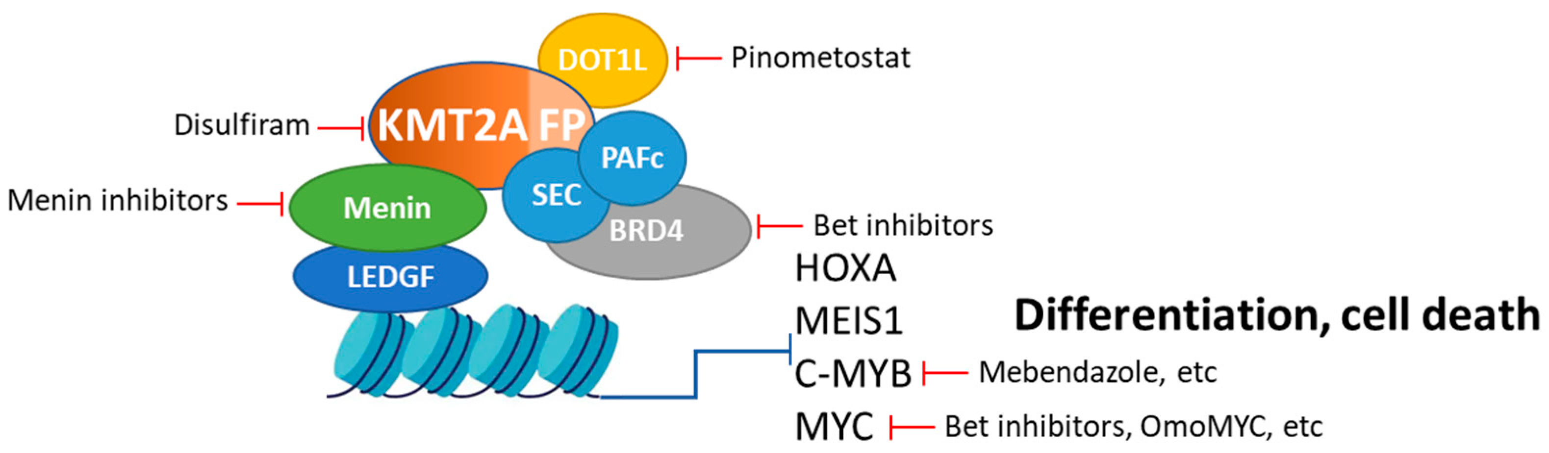 Cancers 16 04017 g002