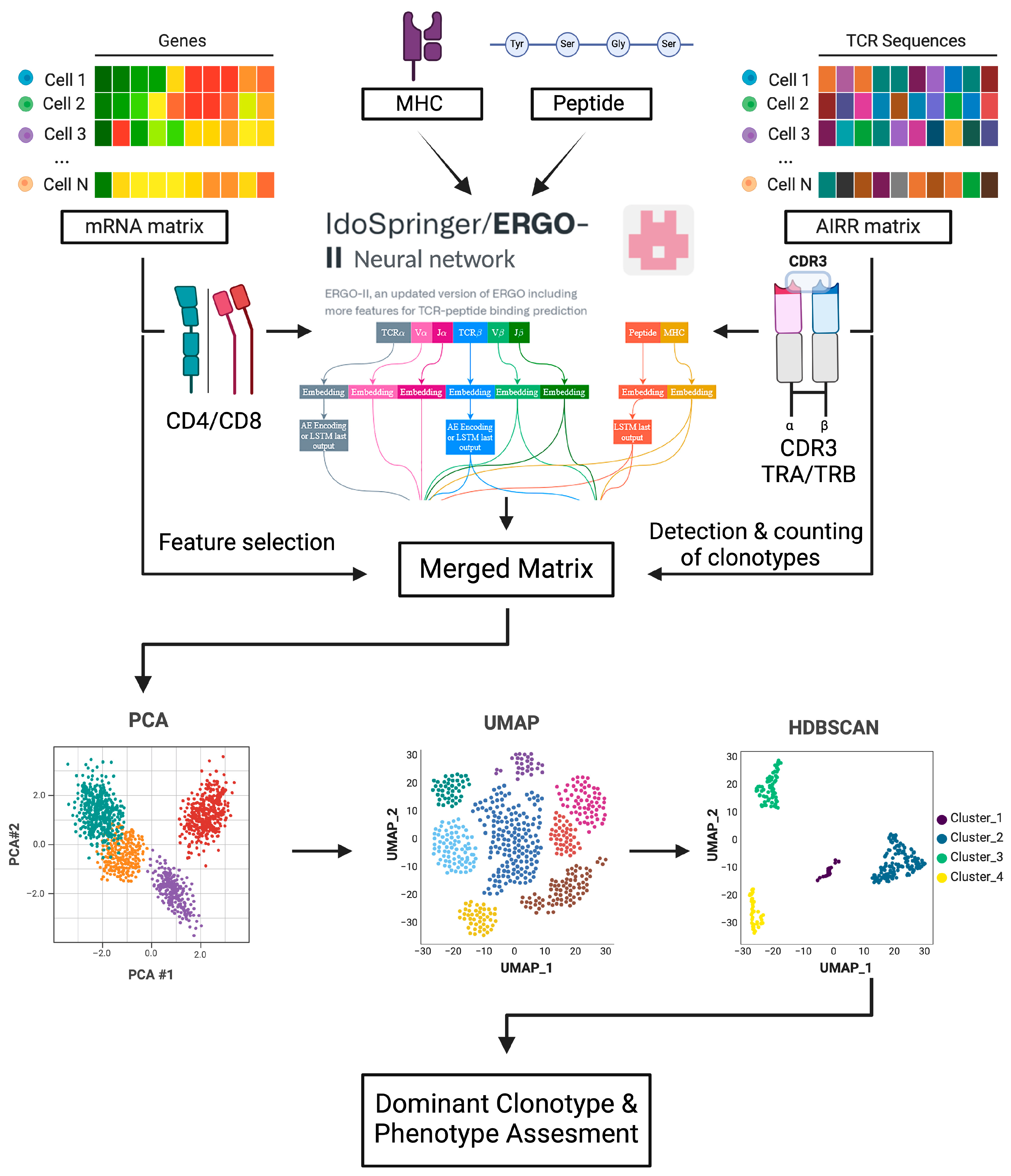 Cancers 16 04020 g001