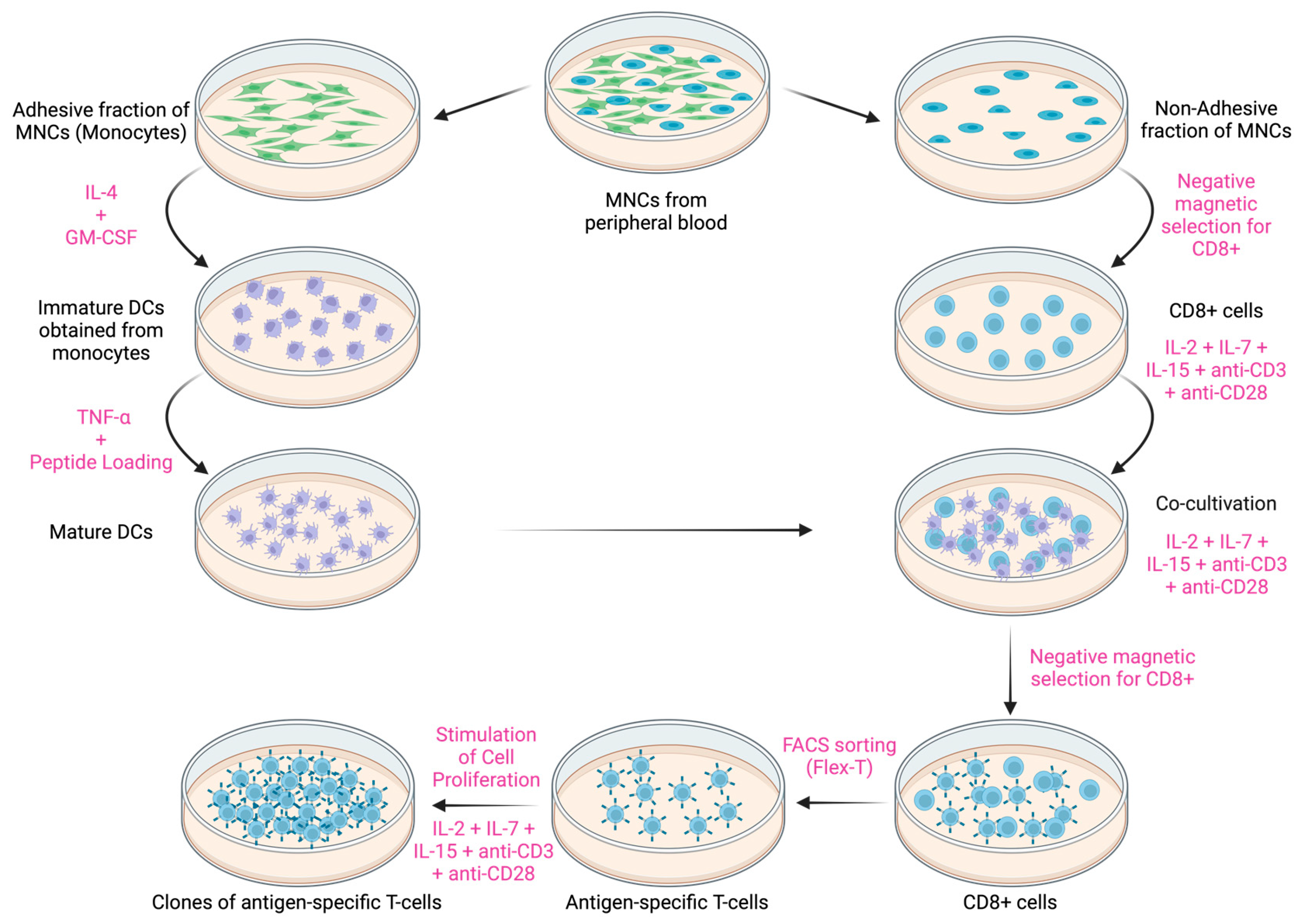 Cancers 16 04020 g002