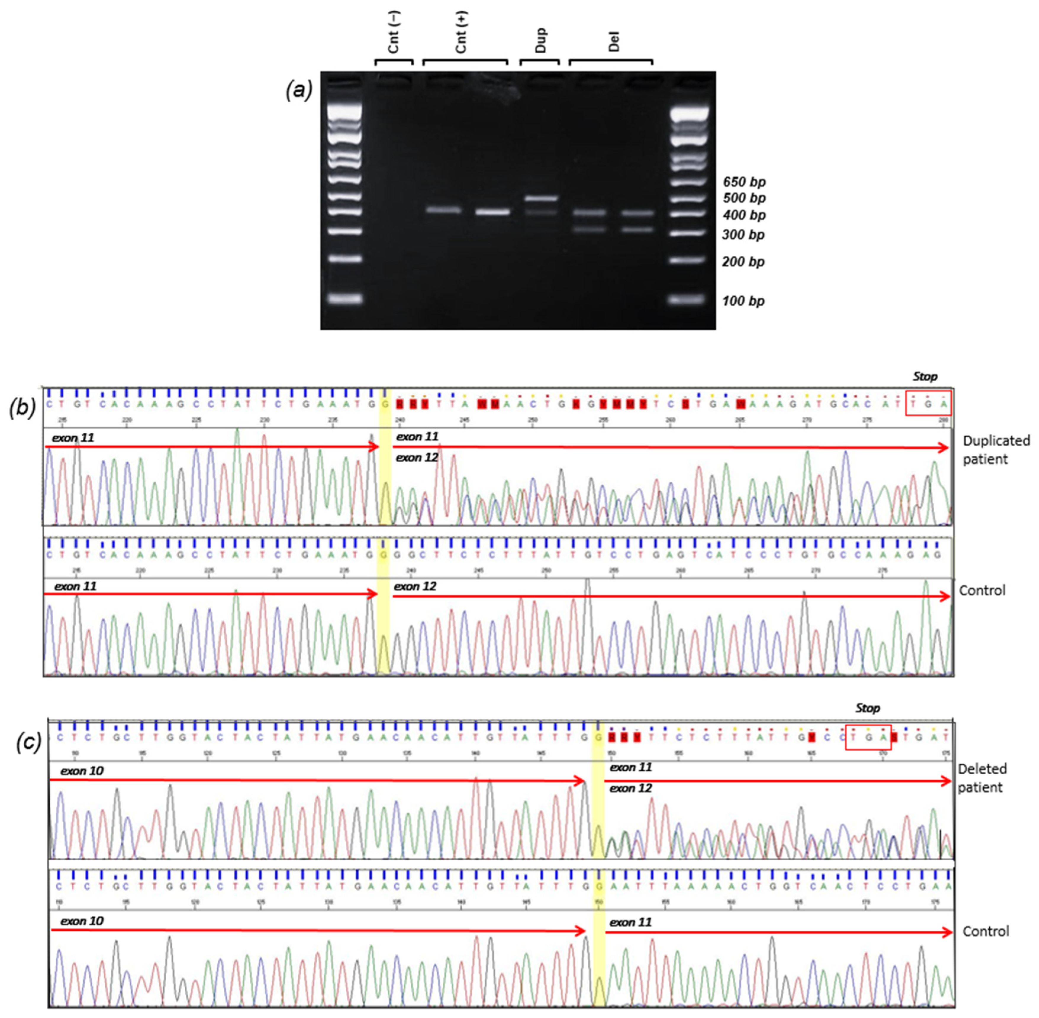 Cancers 16 04022 g003 Cancers 16 04022 g003
