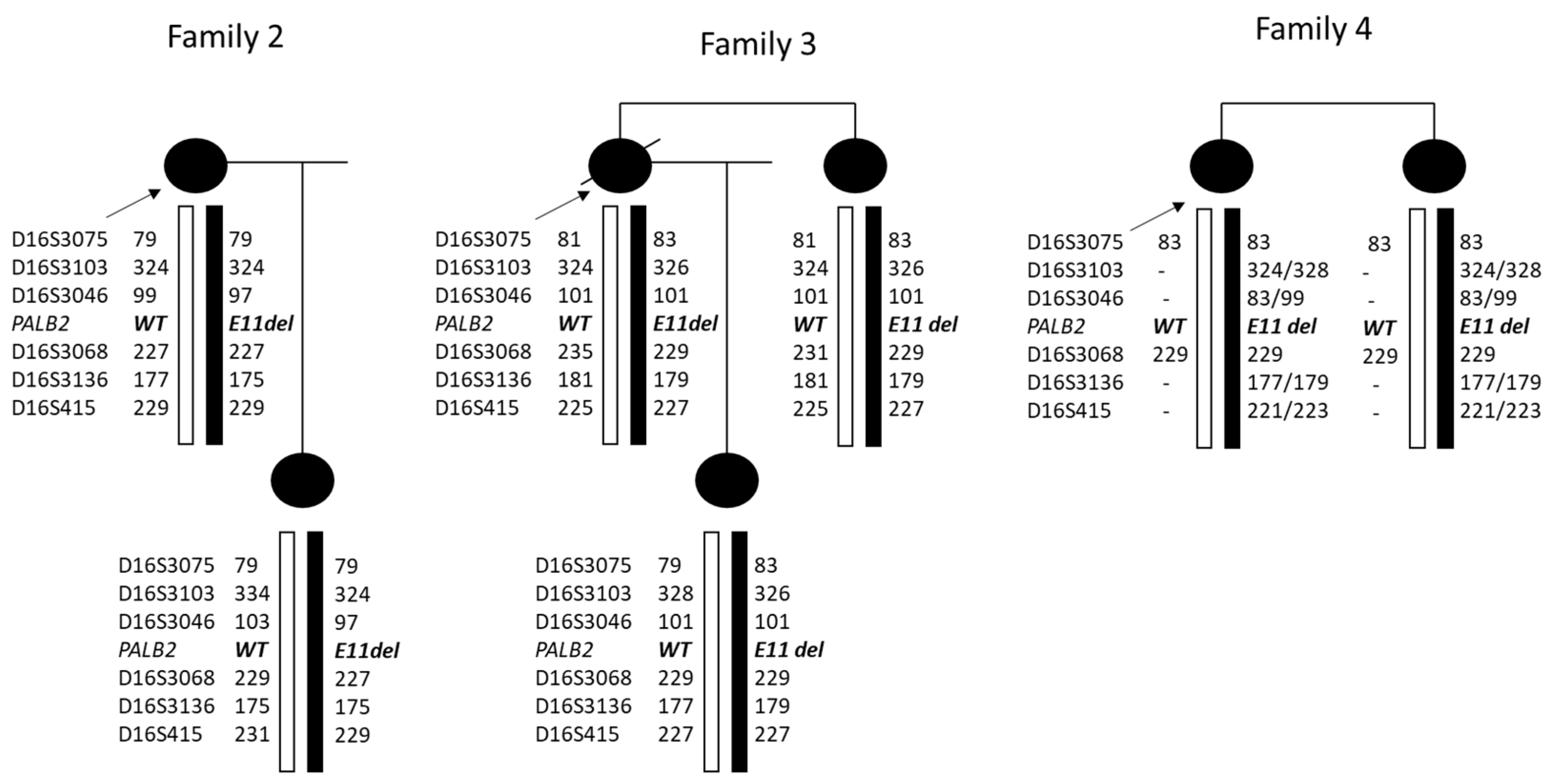 Cancers 16 04022 g007 Cancers 16 04022 g007