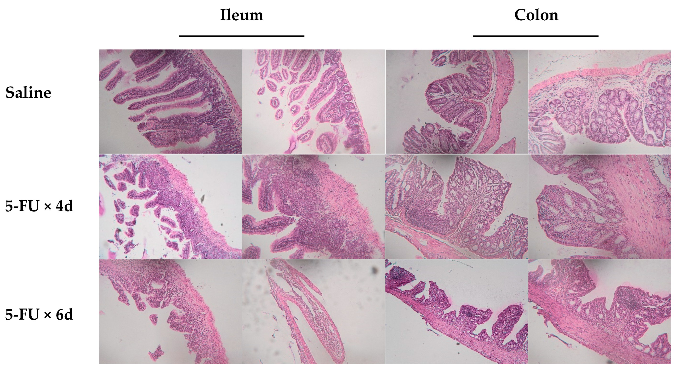 Cancers 16 04025 g001
