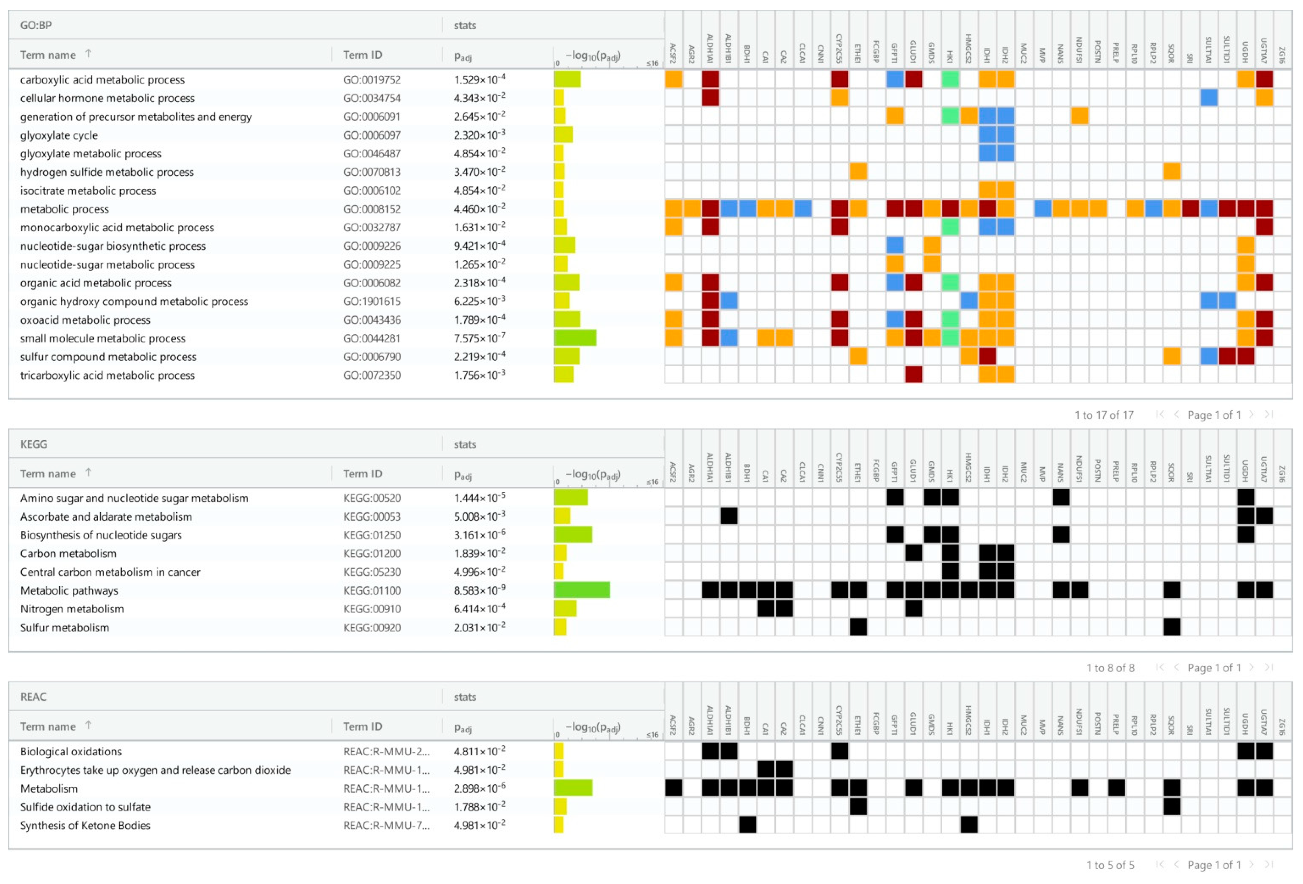 Cancers 16 04025 g003