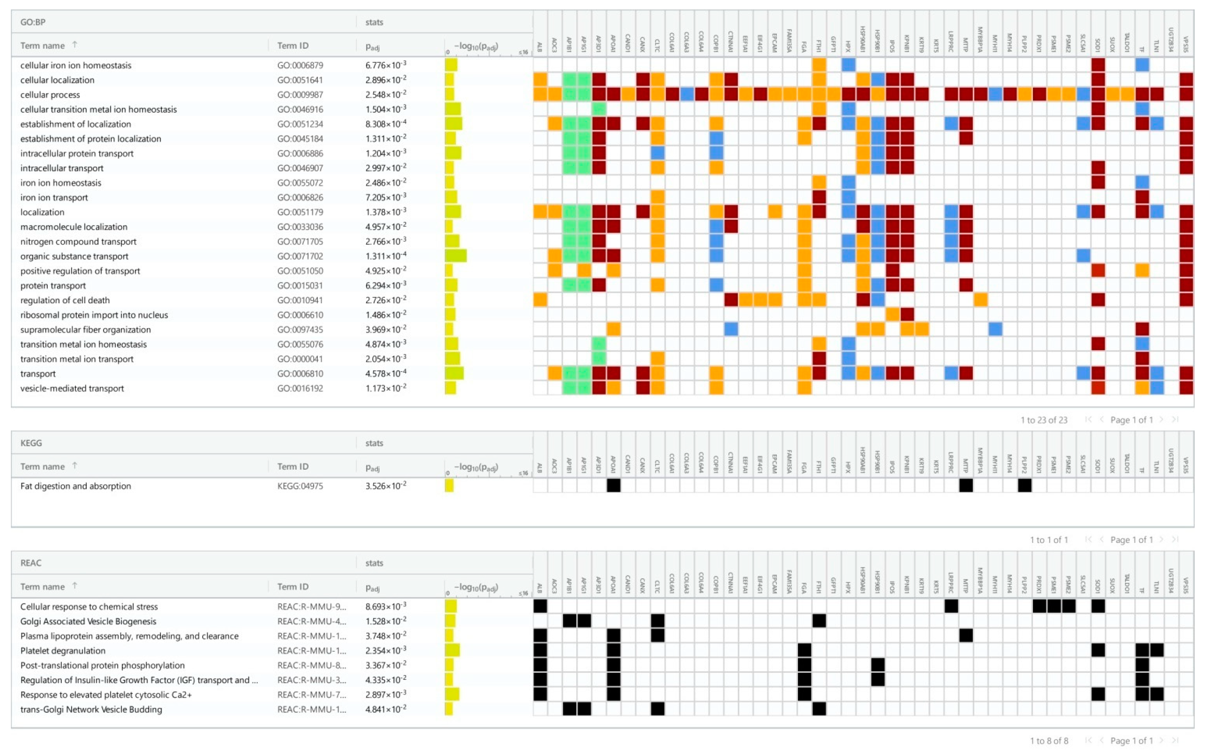 Cancers 16 04025 g005