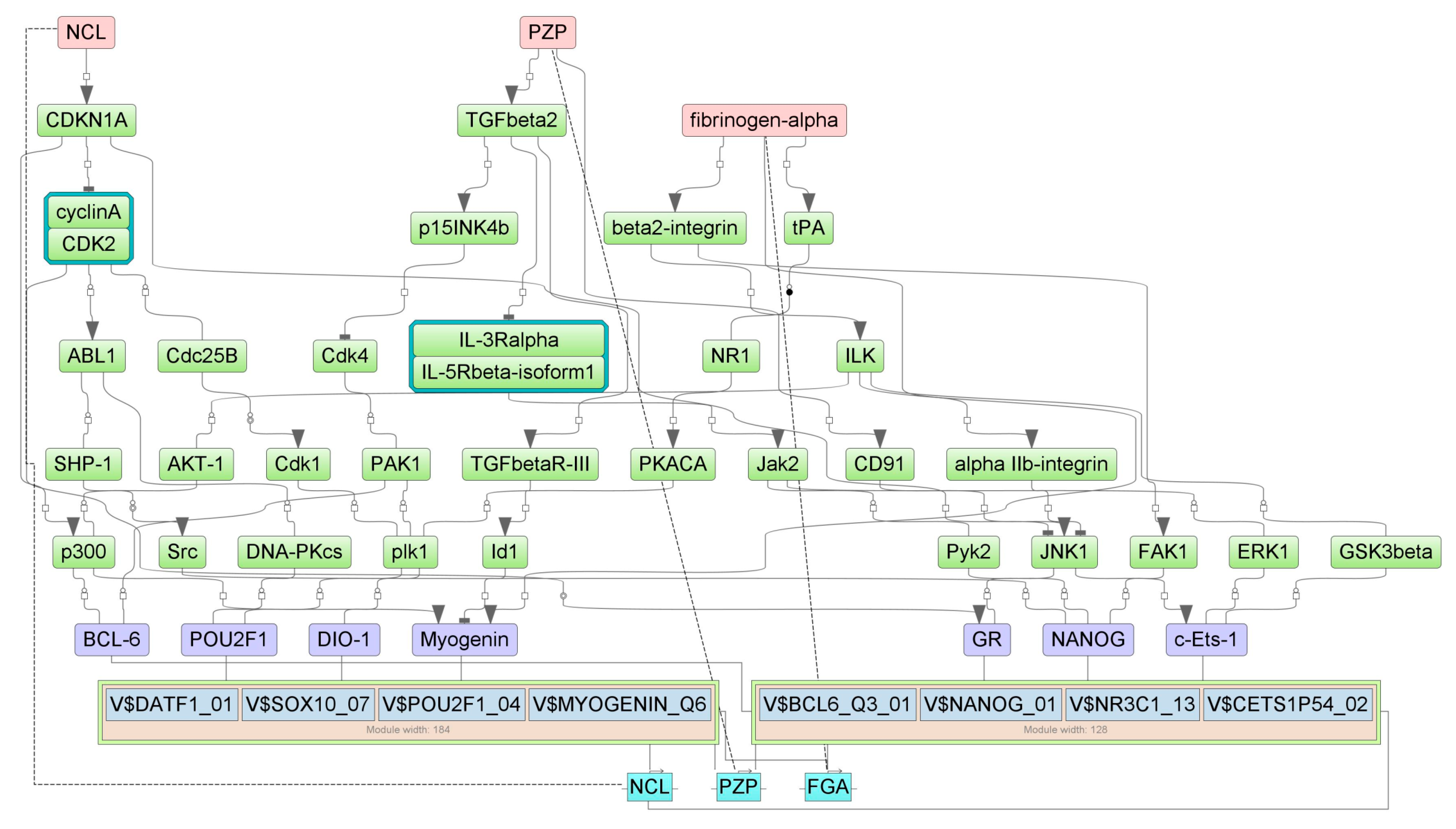 Cancers 16 04025 g007