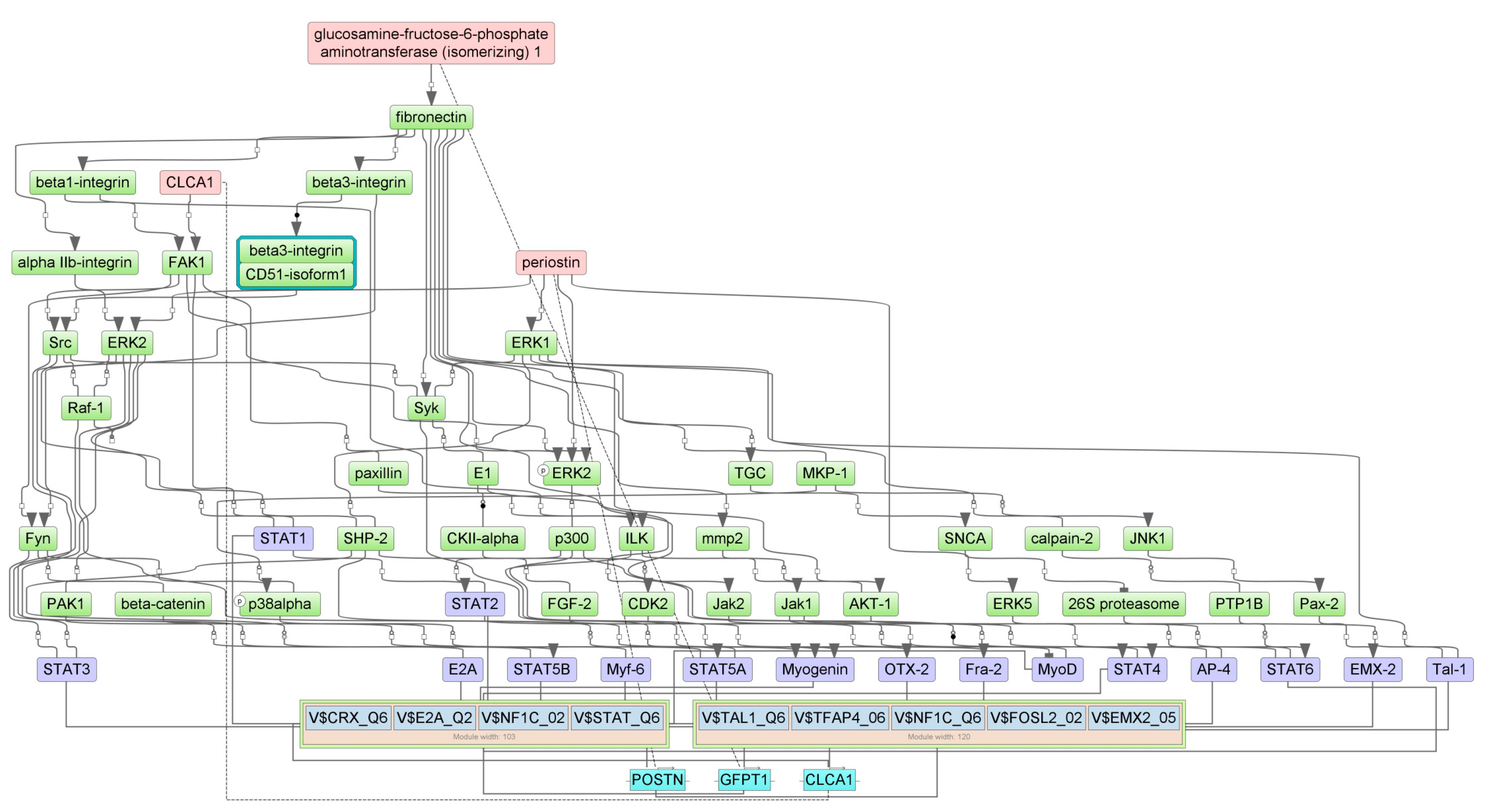 Cancers 16 04025 g008