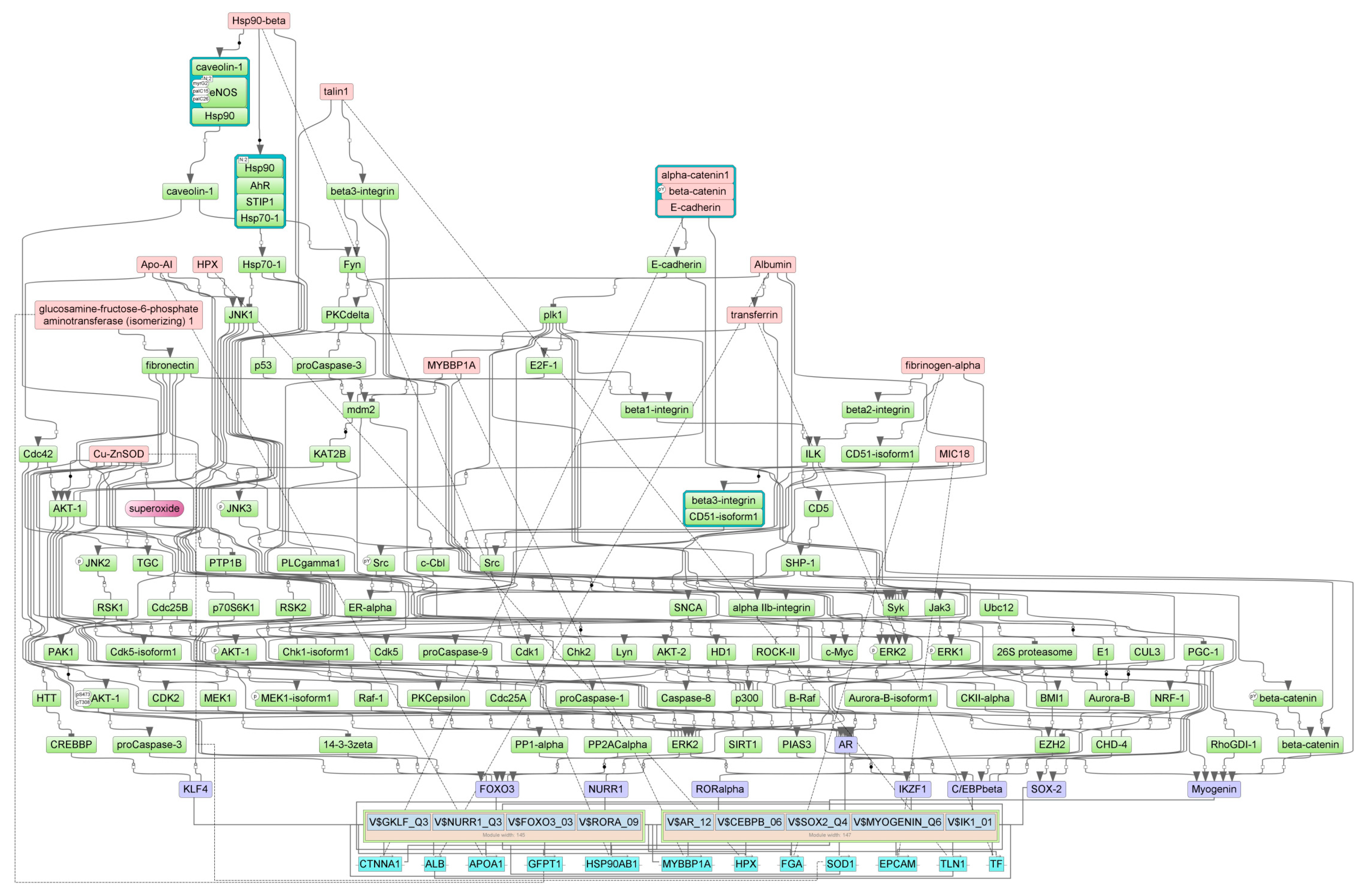 Cancers 16 04025 g010