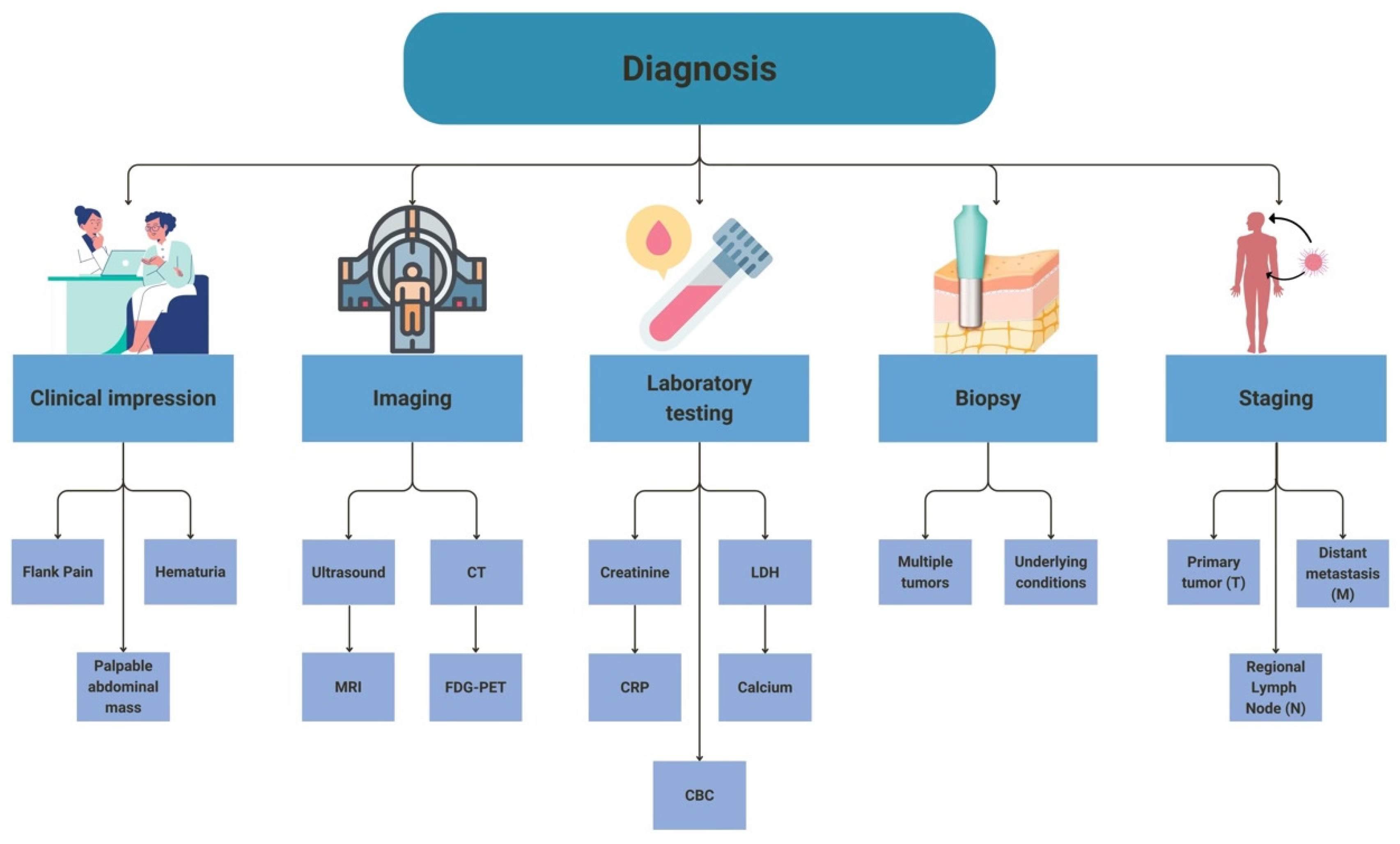 Cancers 16 04034 g001 Cancers 16 04034 g001