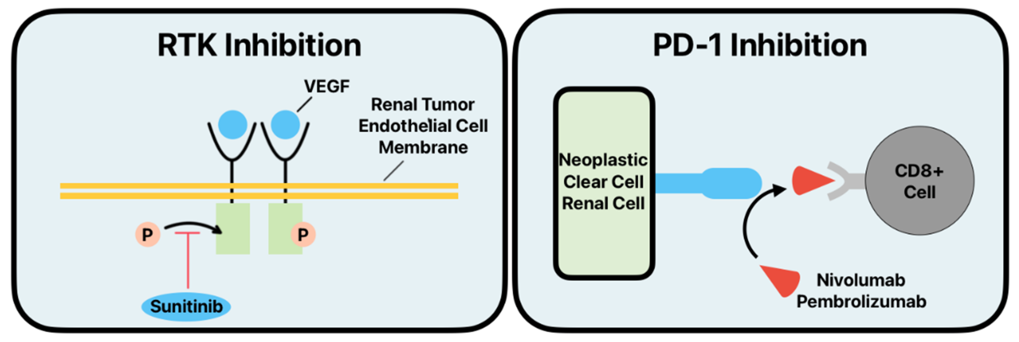 Cancers 16 04034 g002 Cancers 16 04034 g002
