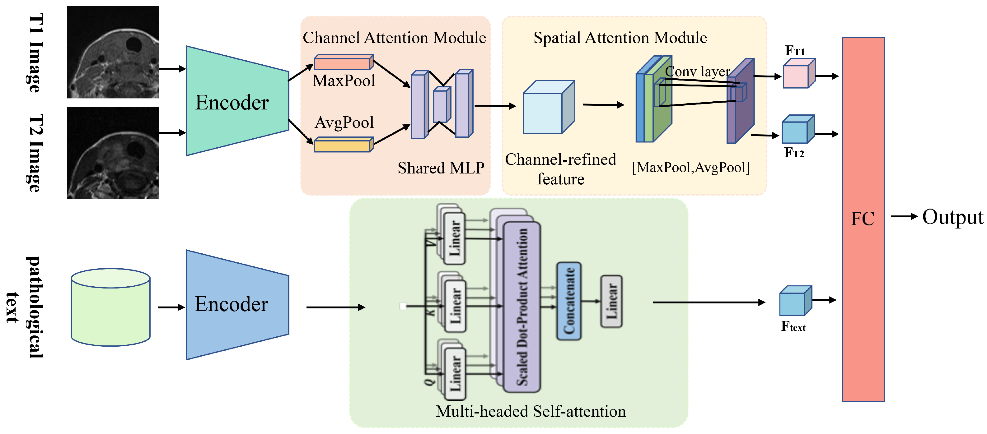 Cancers 16 04042 g004