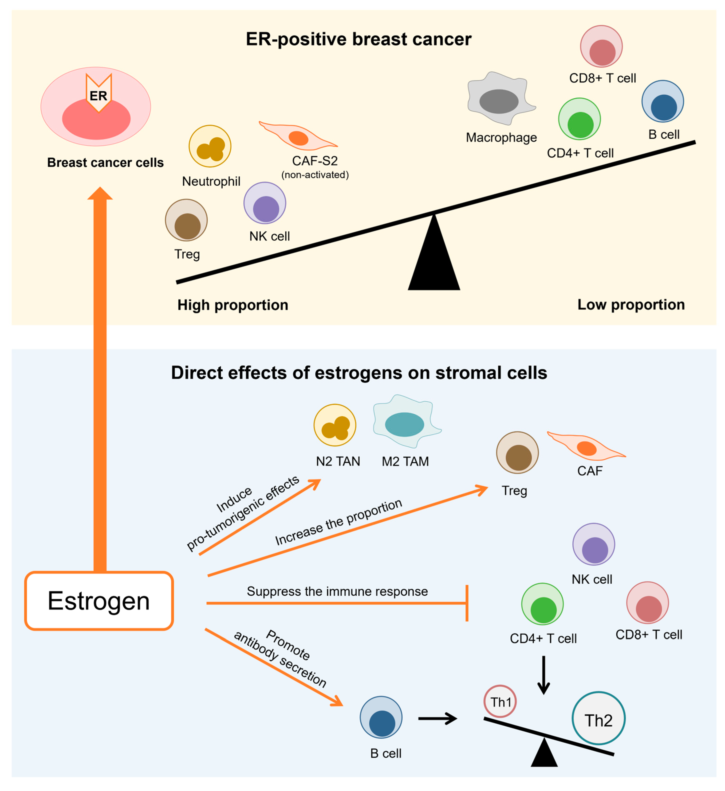 Cancers 16 04043 g001