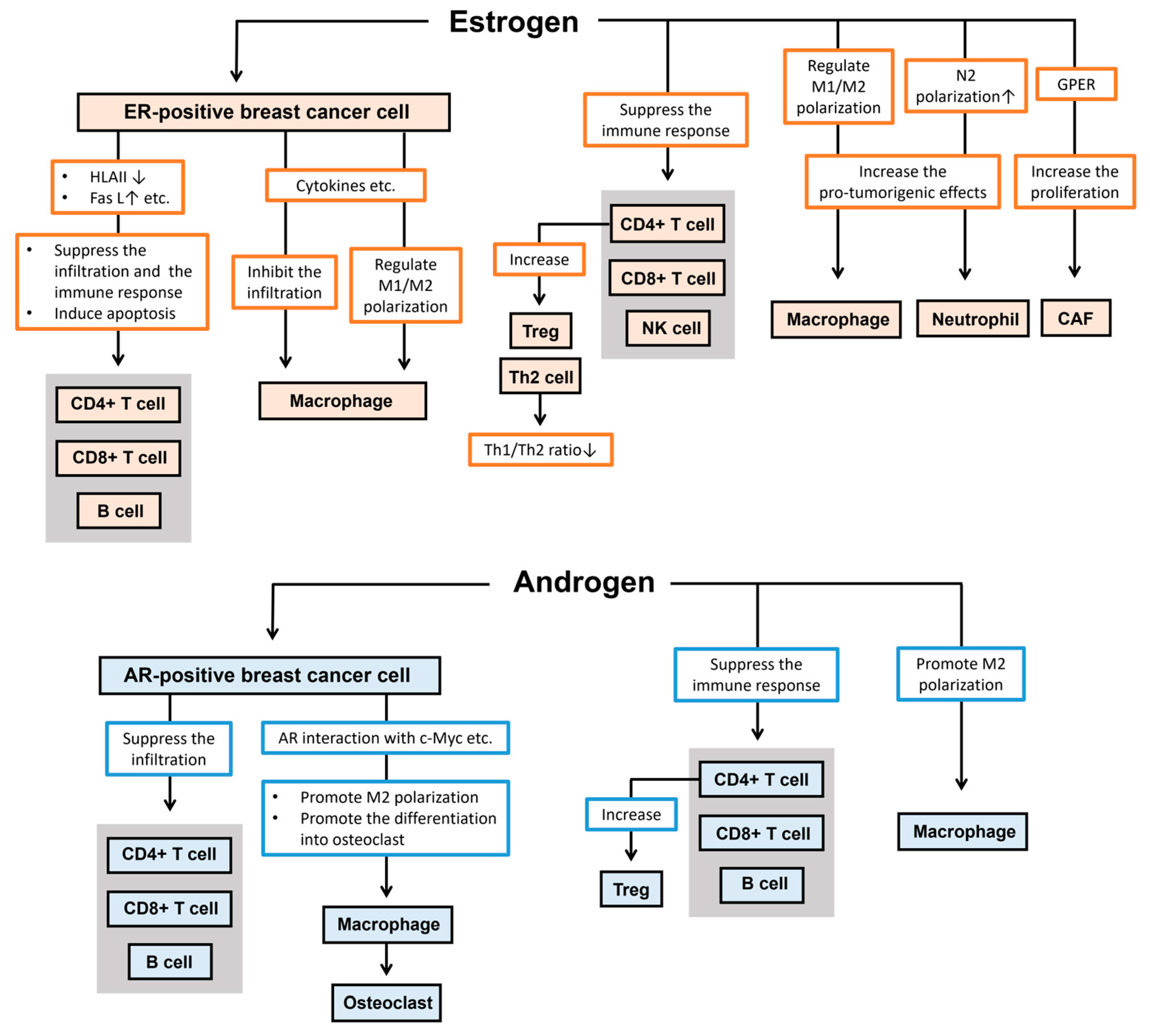 Cancers 16 04043 g003