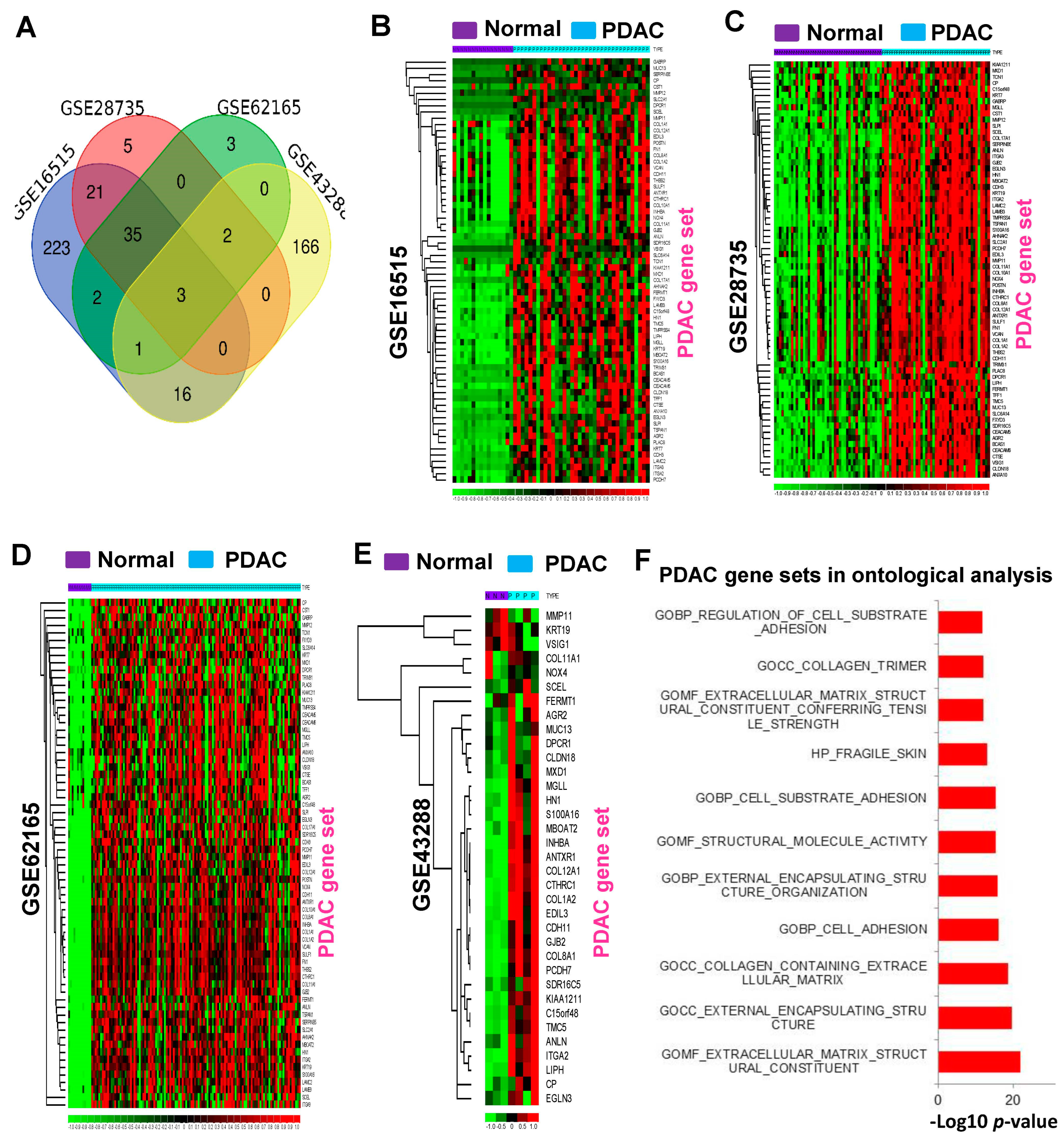 Cancers 16 04049 g001