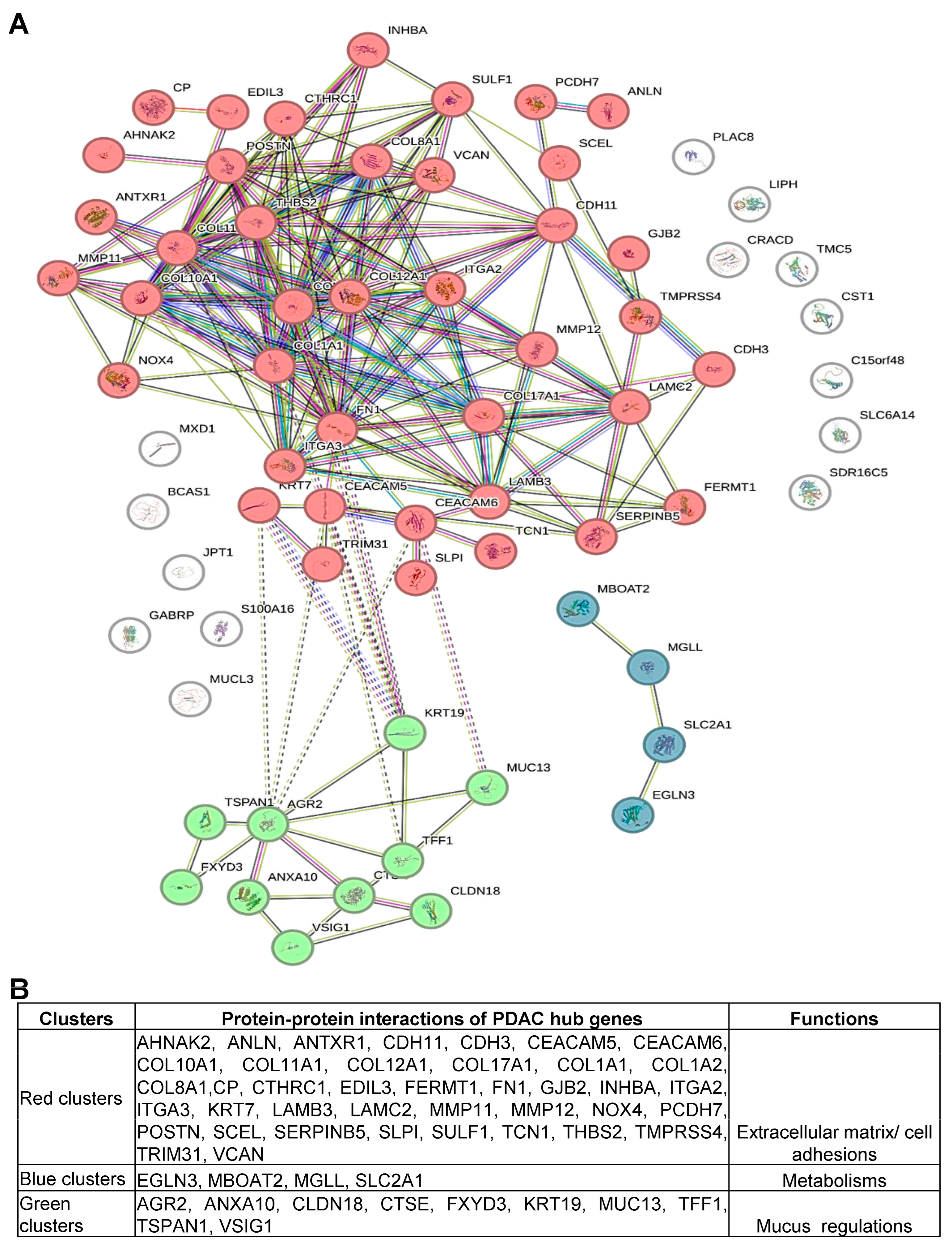 Cancers 16 04049 g002