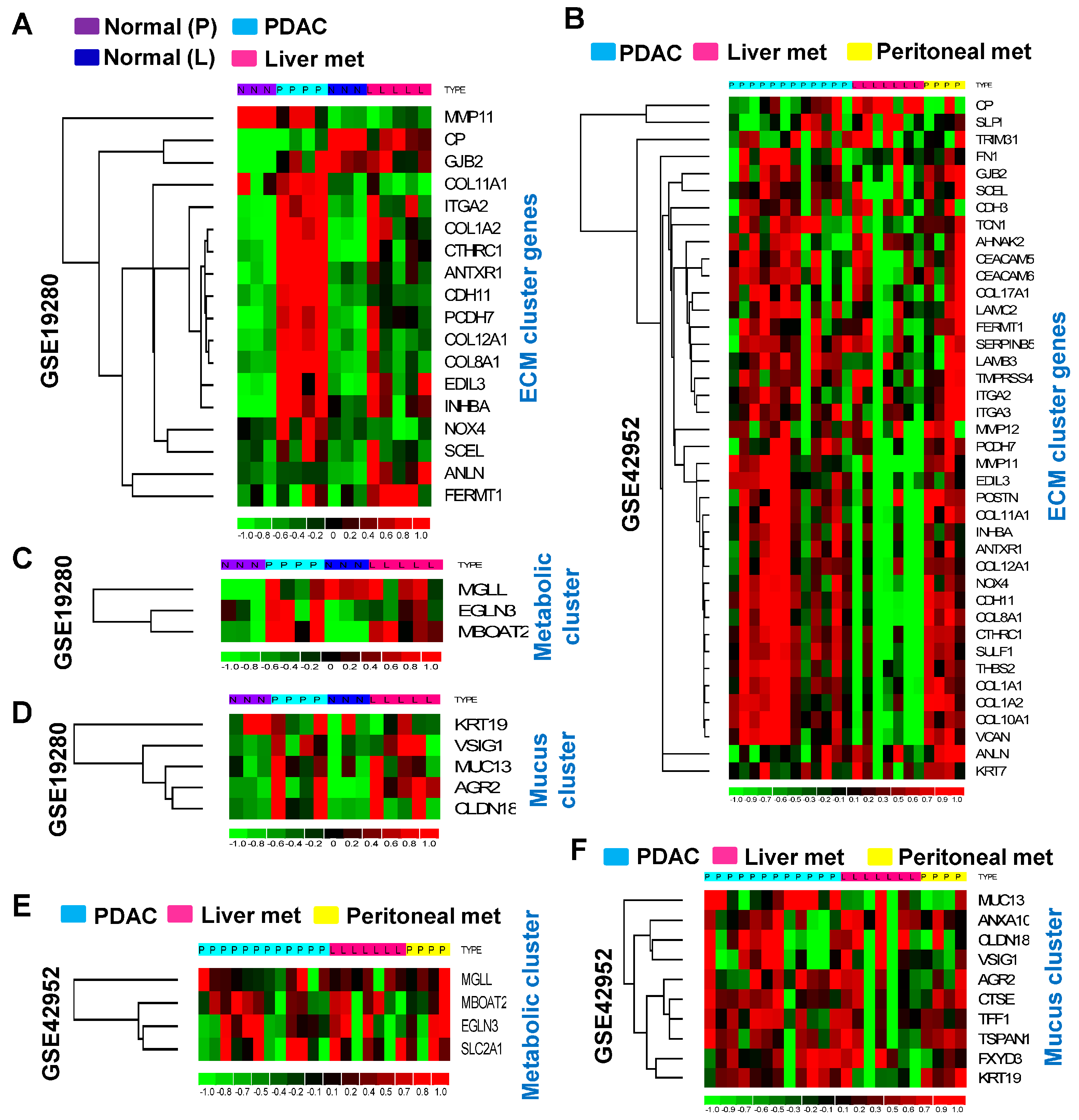 Cancers 16 04049 g005