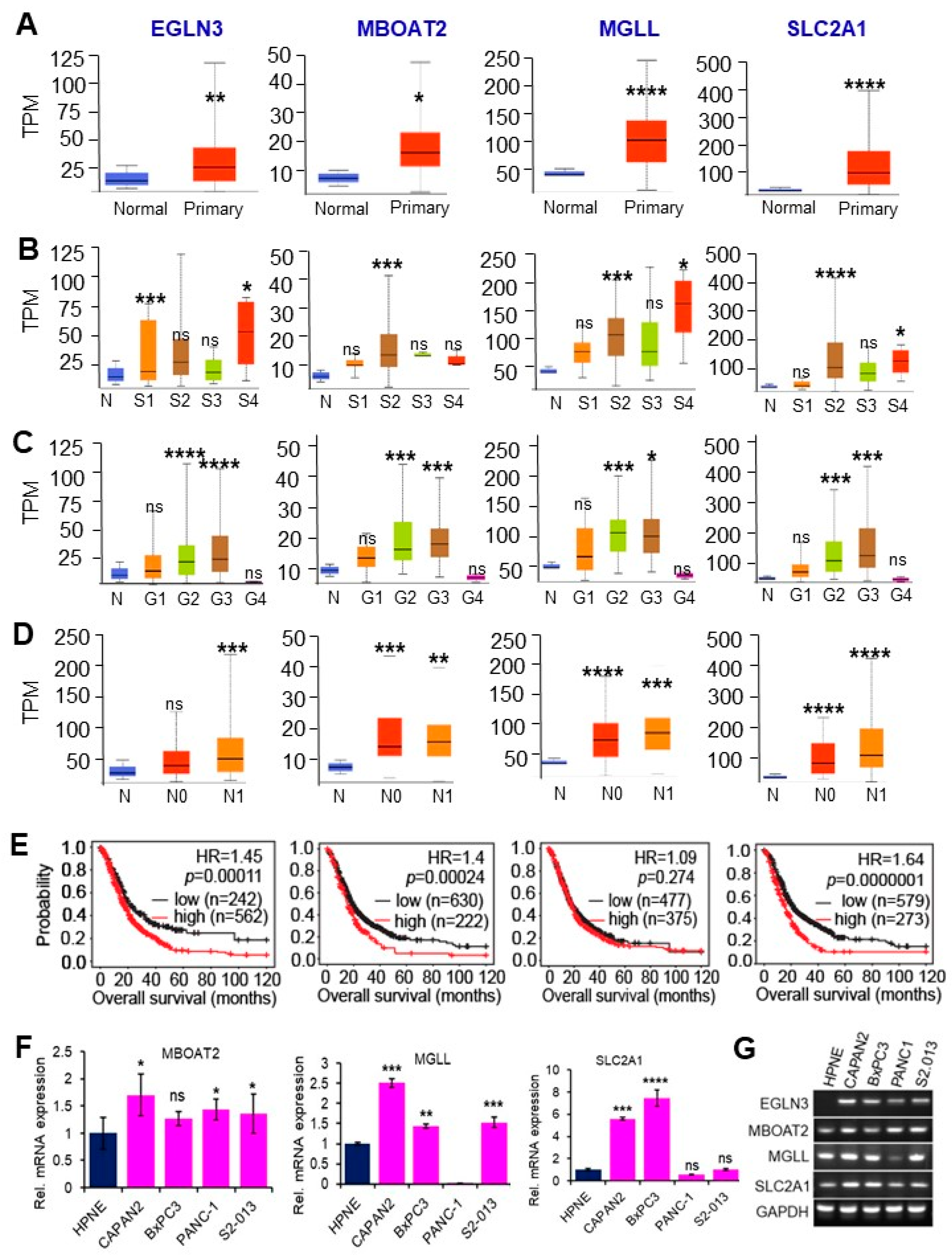 Cancers 16 04049 g006