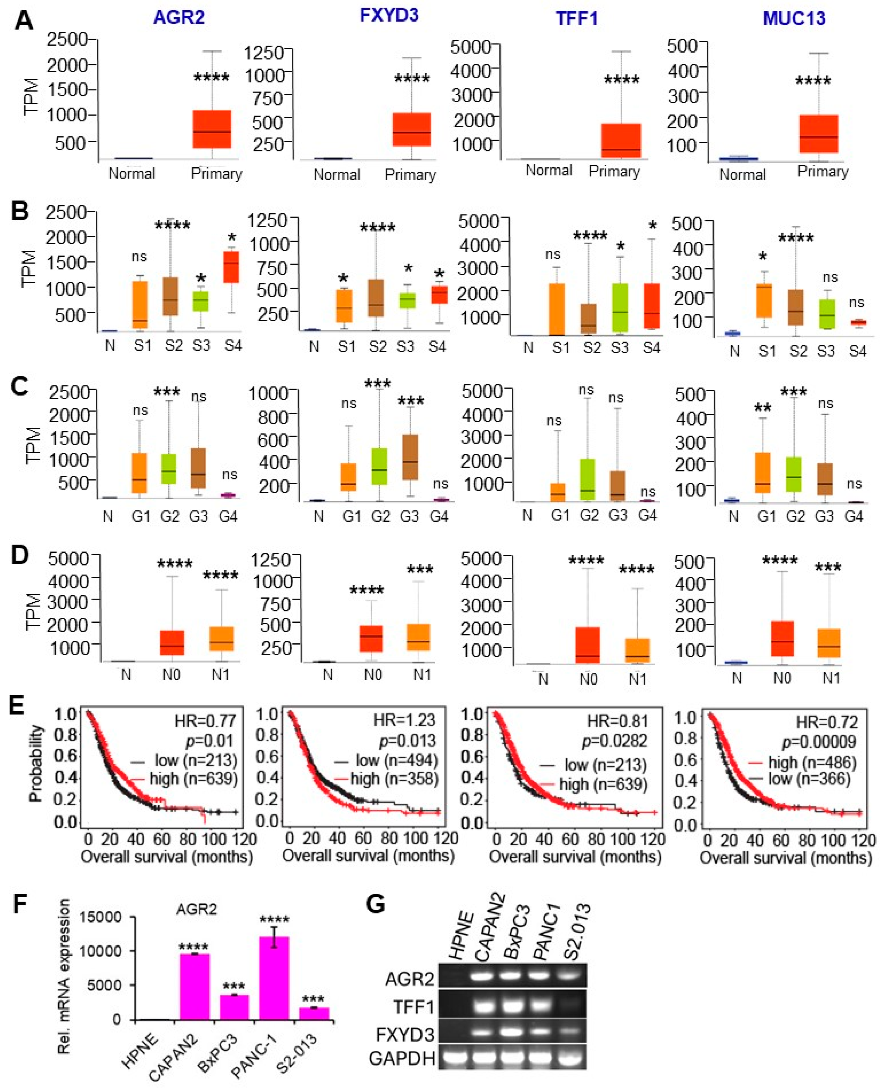 Cancers 16 04049 g007