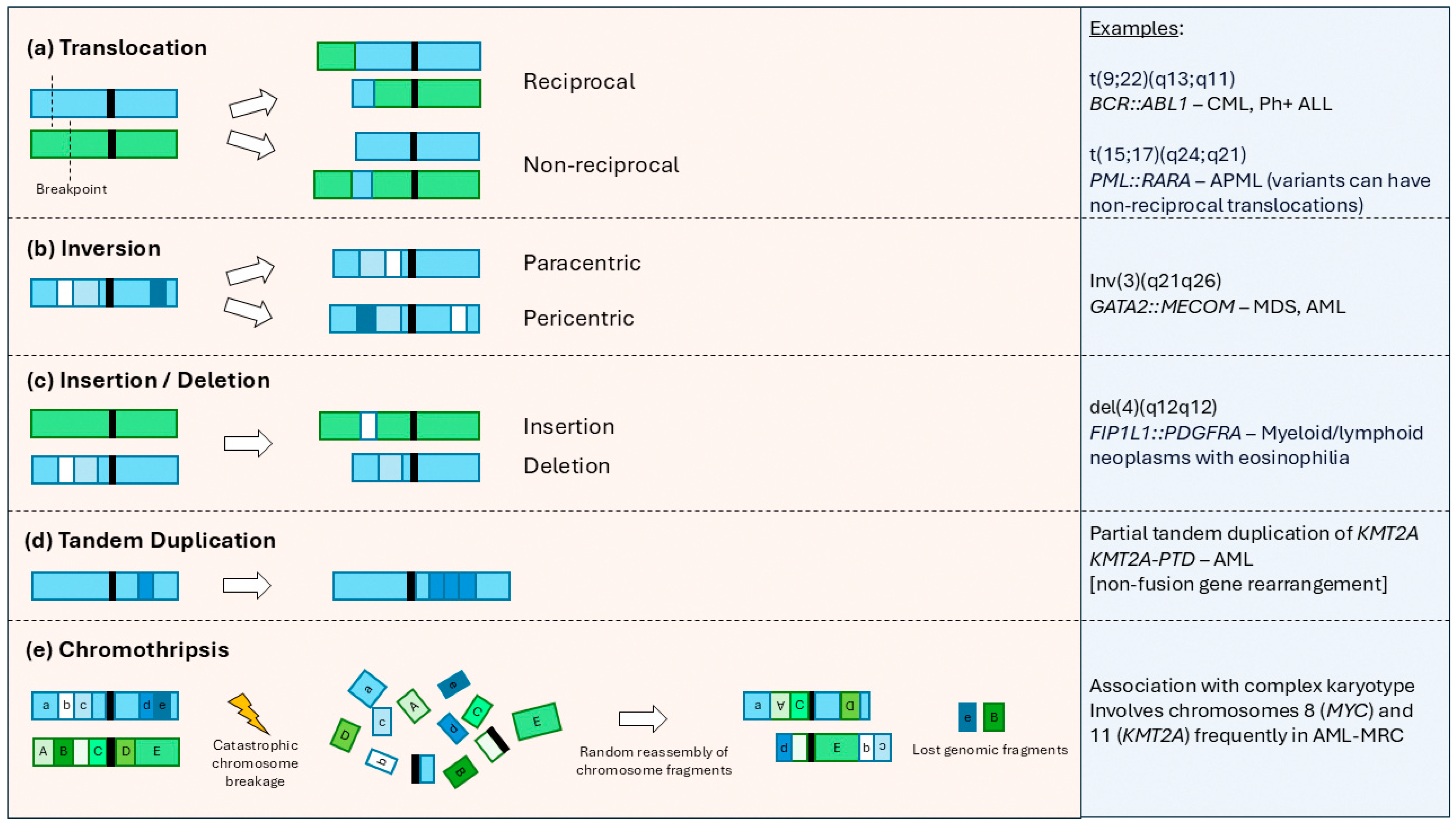 Cancers 16 04055 g001