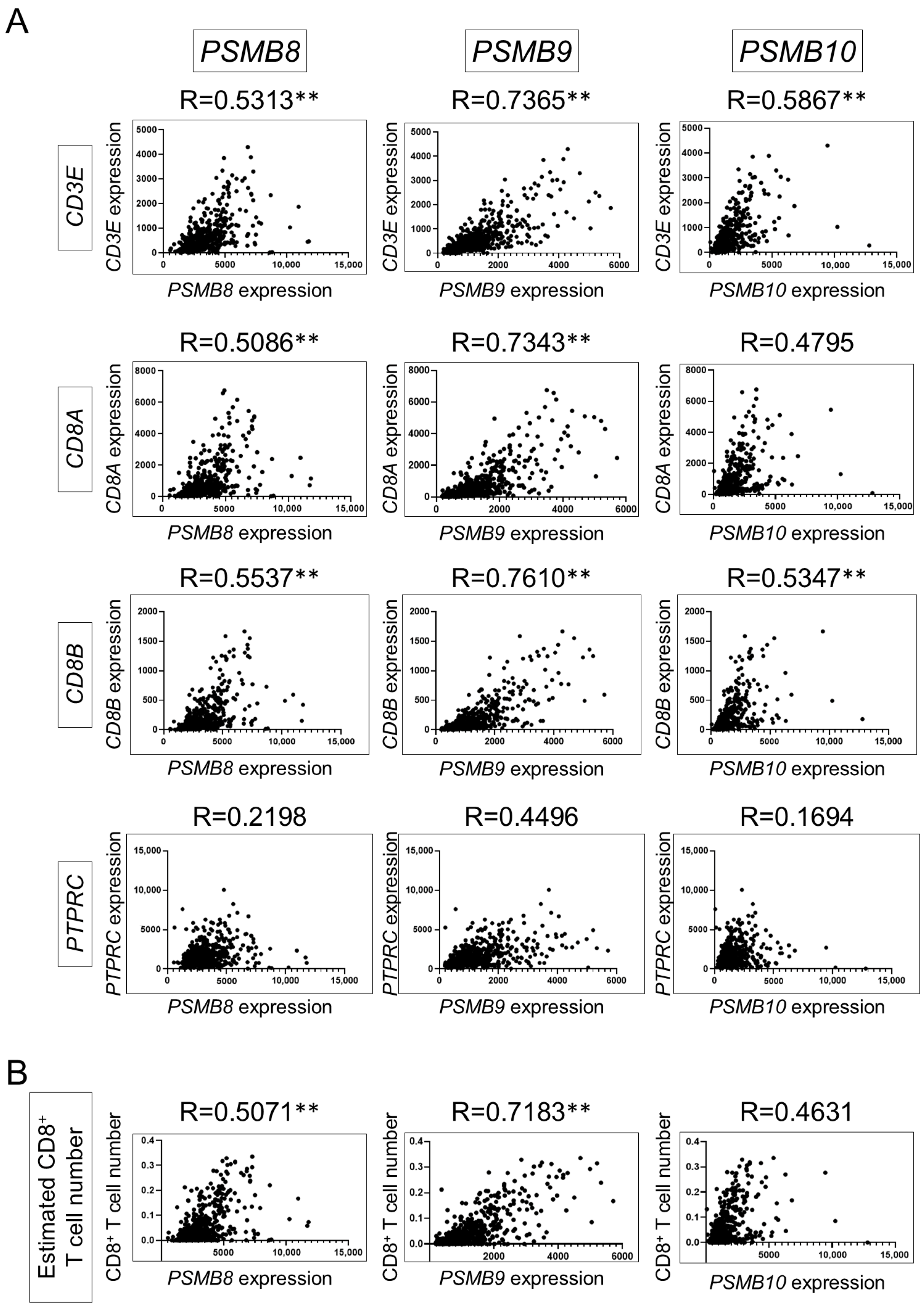 Cancers 16 04058 g001 Cancers 16 04058 g001