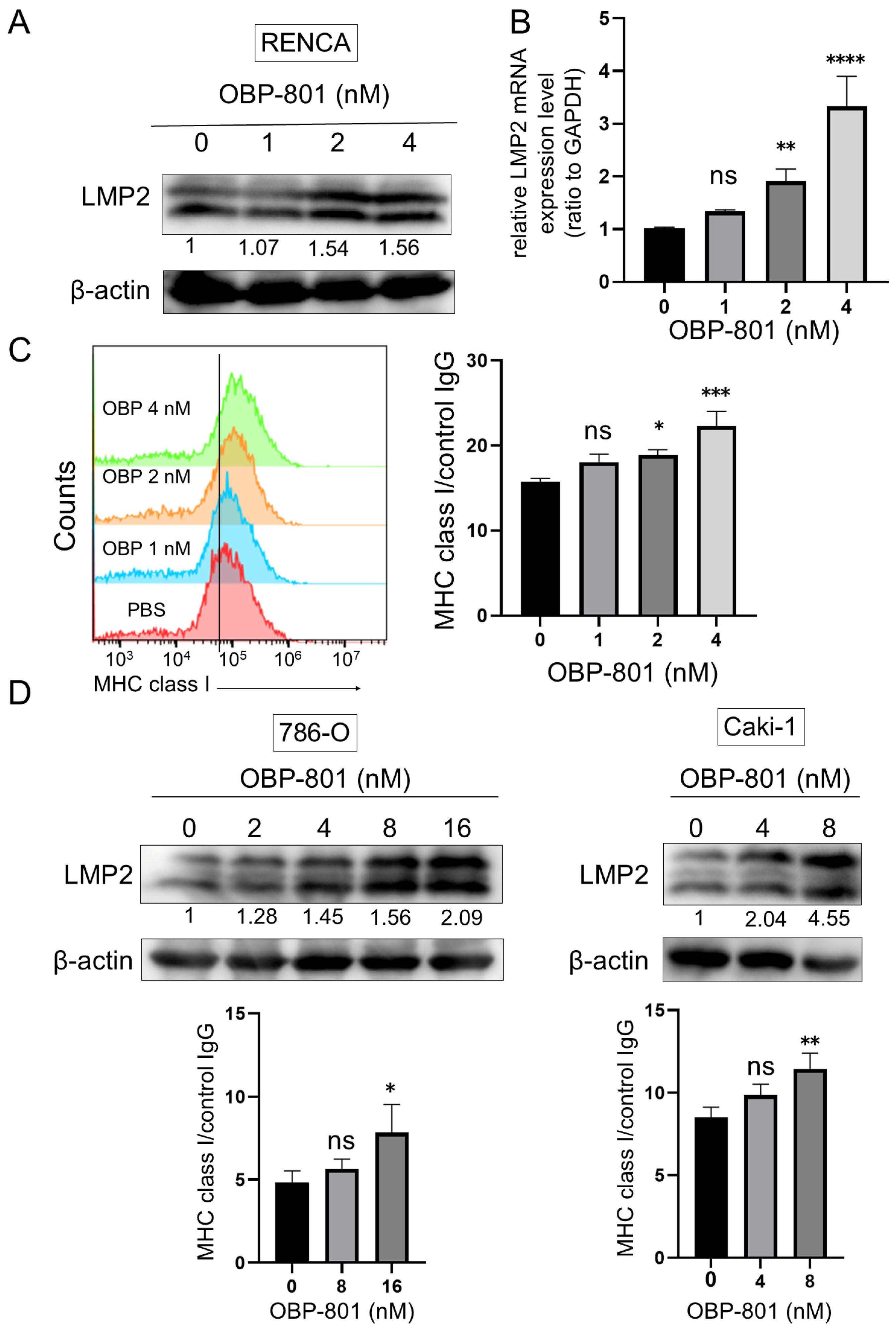 Cancers 16 04058 g002 Cancers 16 04058 g002