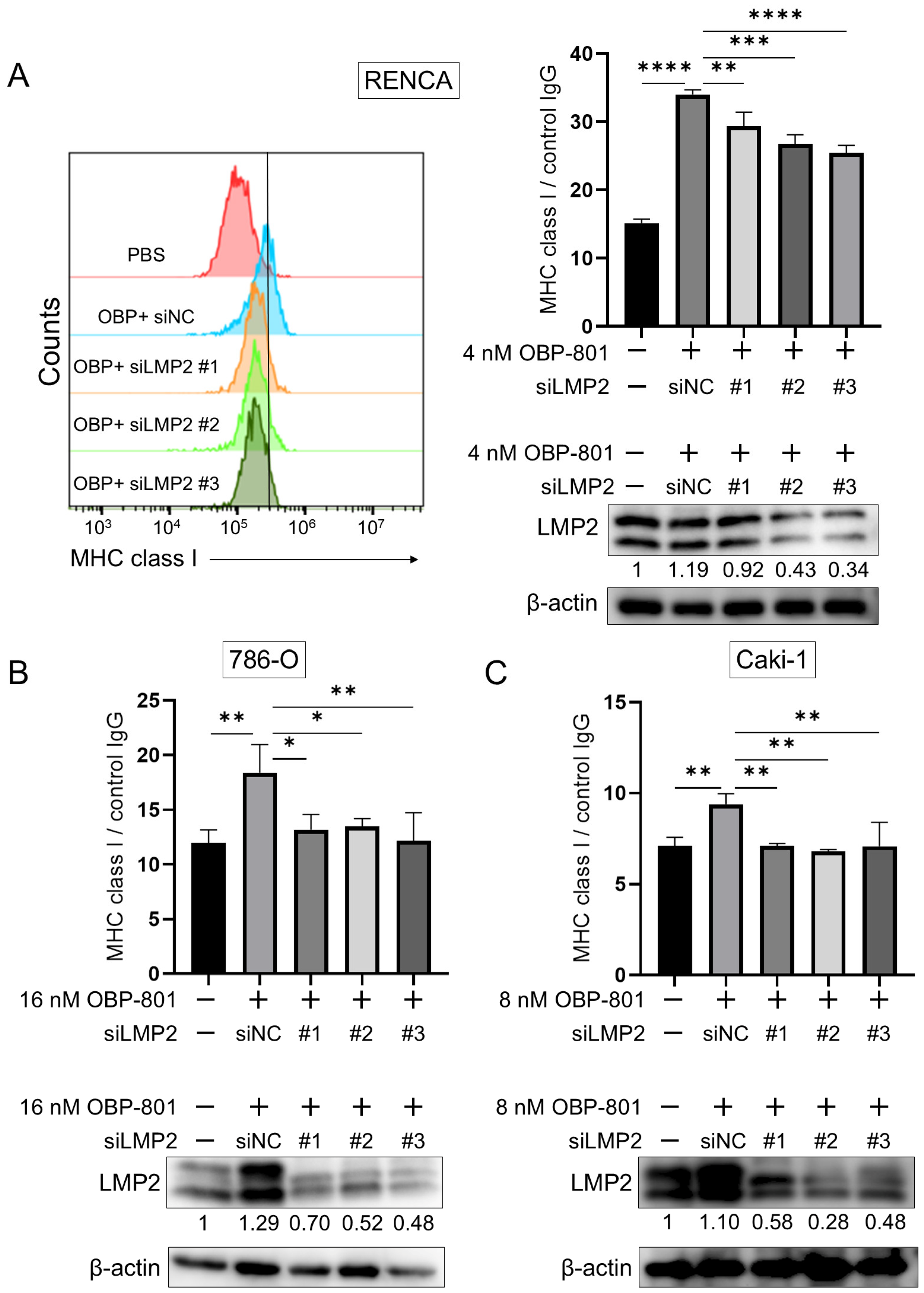 Cancers 16 04058 g003 Cancers 16 04058 g003