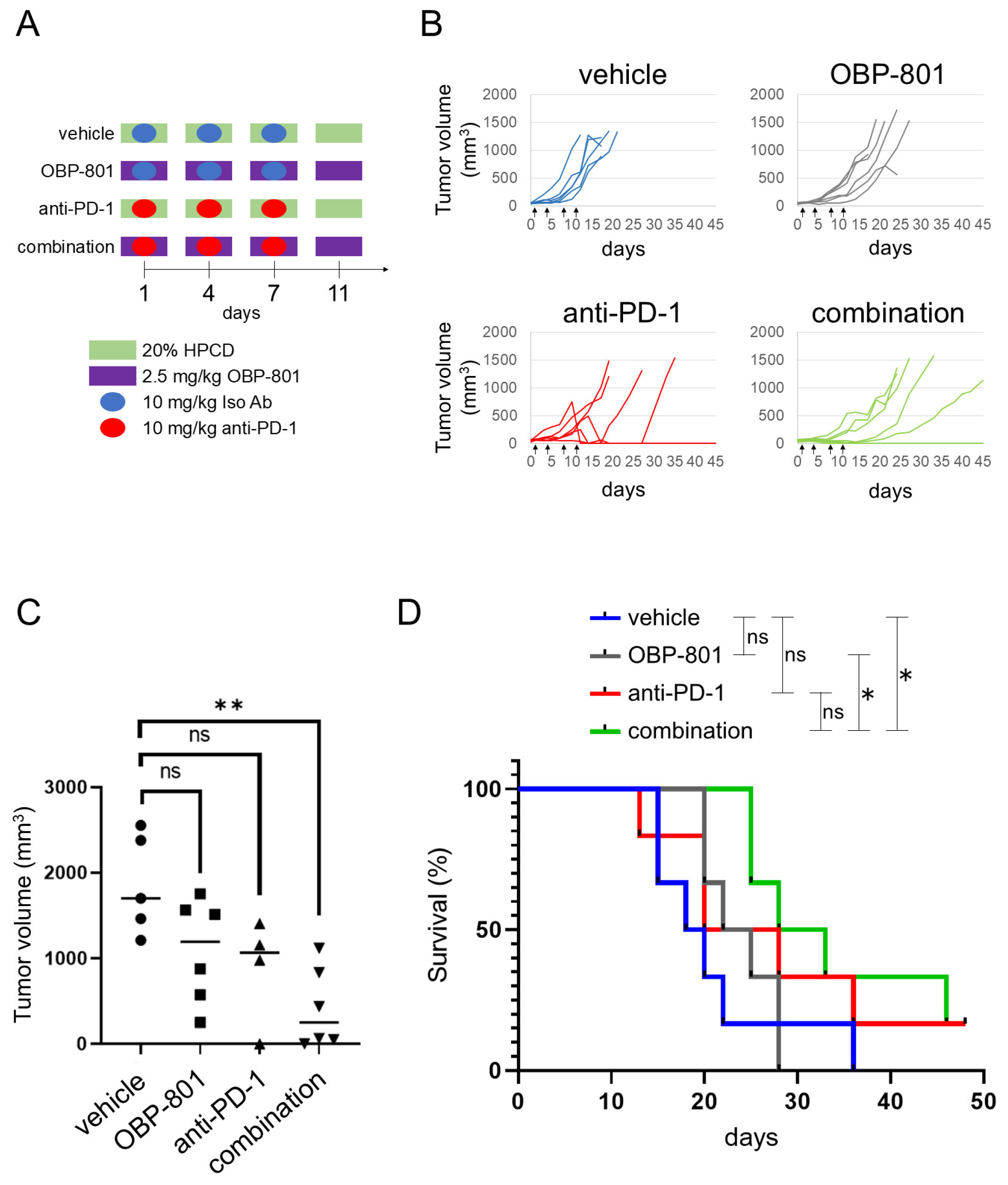 Cancers 16 04058 g004 Cancers 16 04058 g004