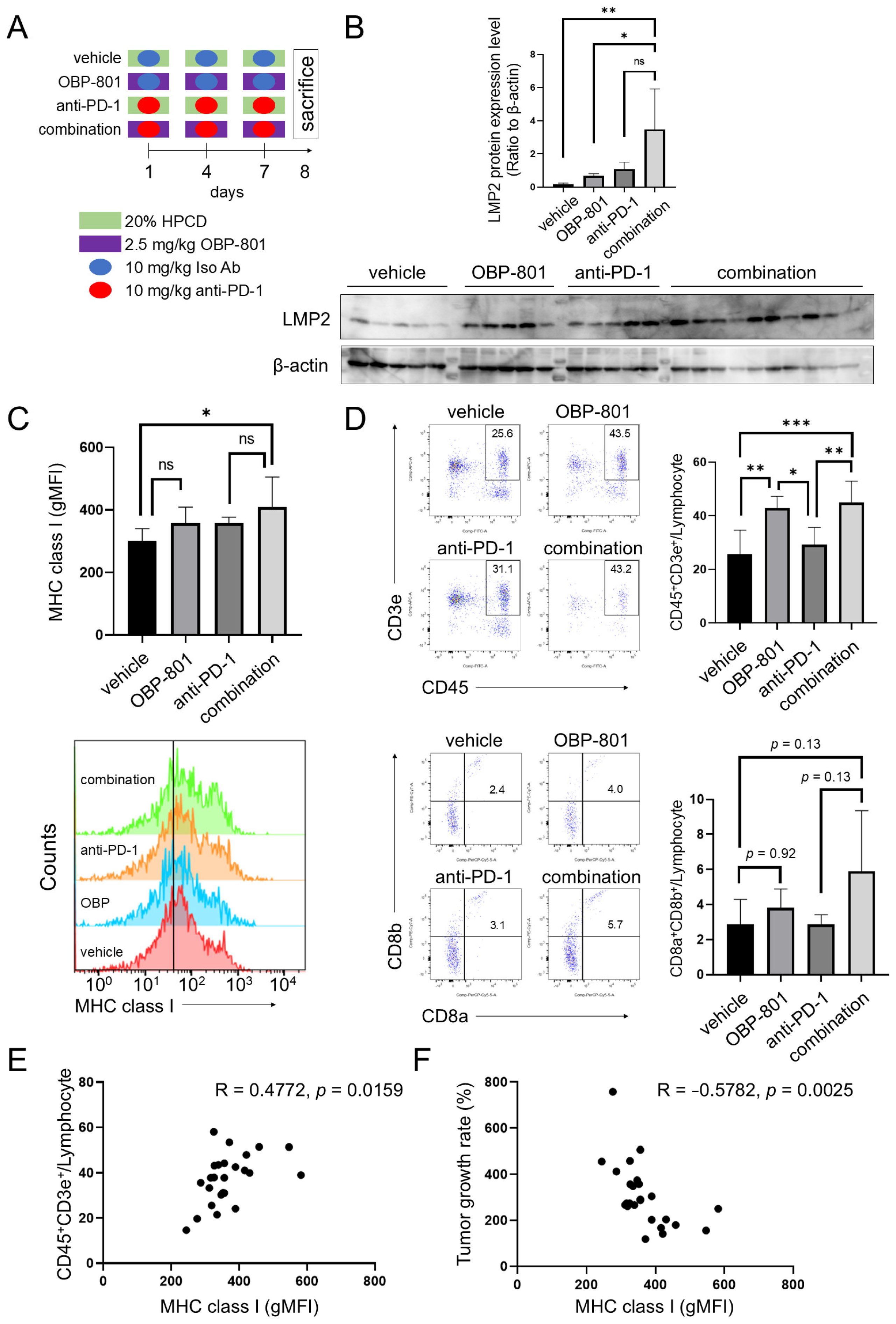 Cancers 16 04058 g005 Cancers 16 04058 g005