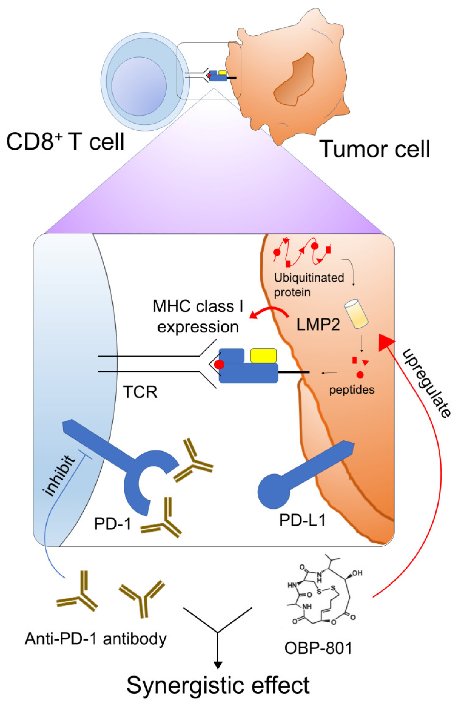 Cancers 16 04058 g006 Cancers 16 04058 g006