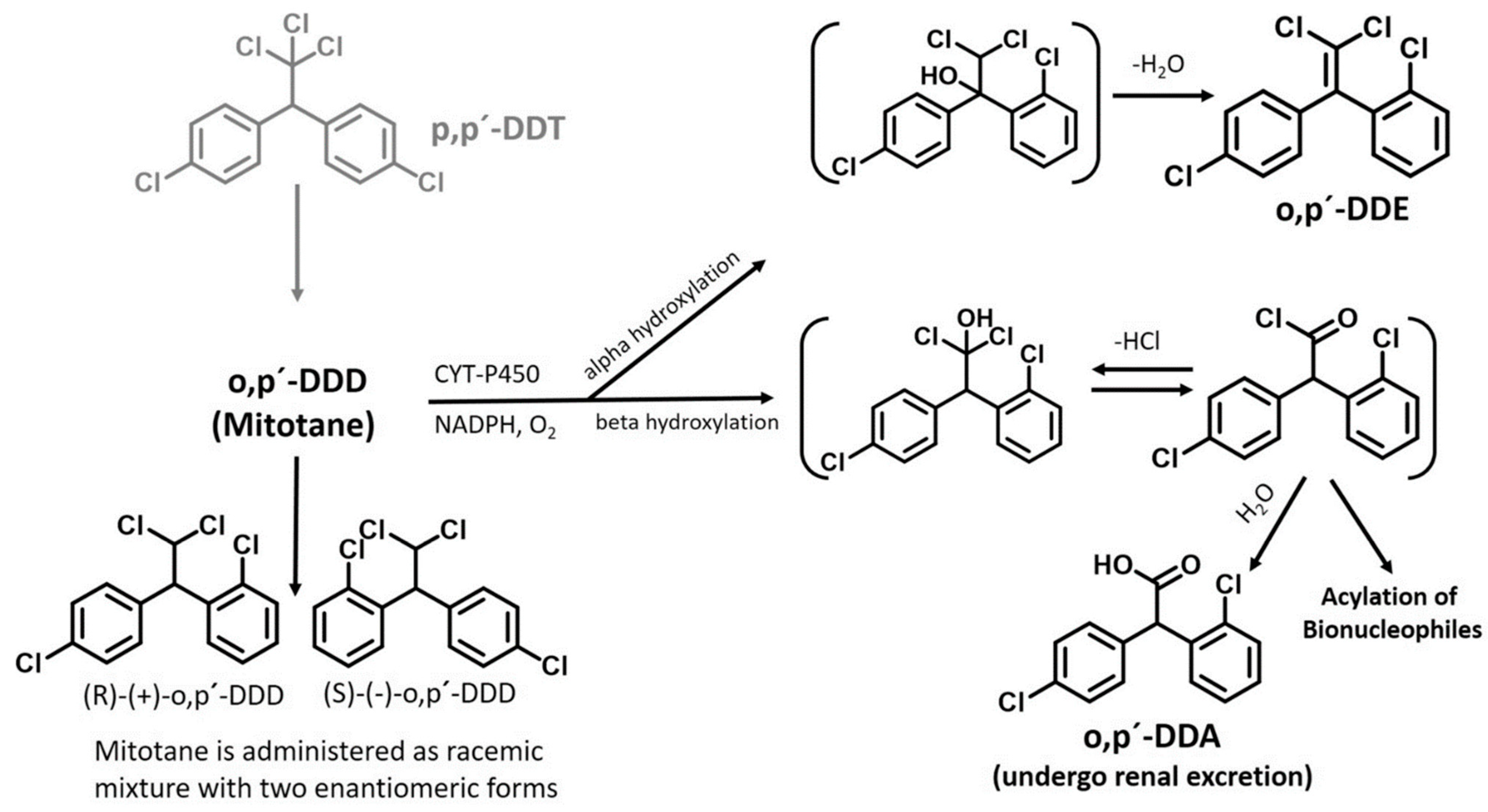 Cancers 16 04061 g001 Cancers 16 04061 g001