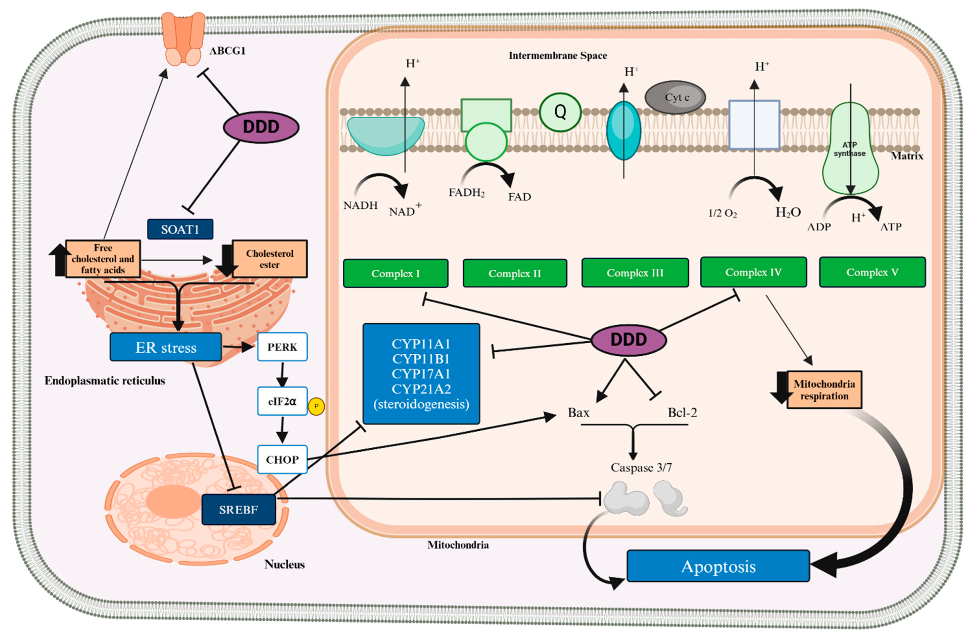 Cancers 16 04061 g002 Cancers 16 04061 g002