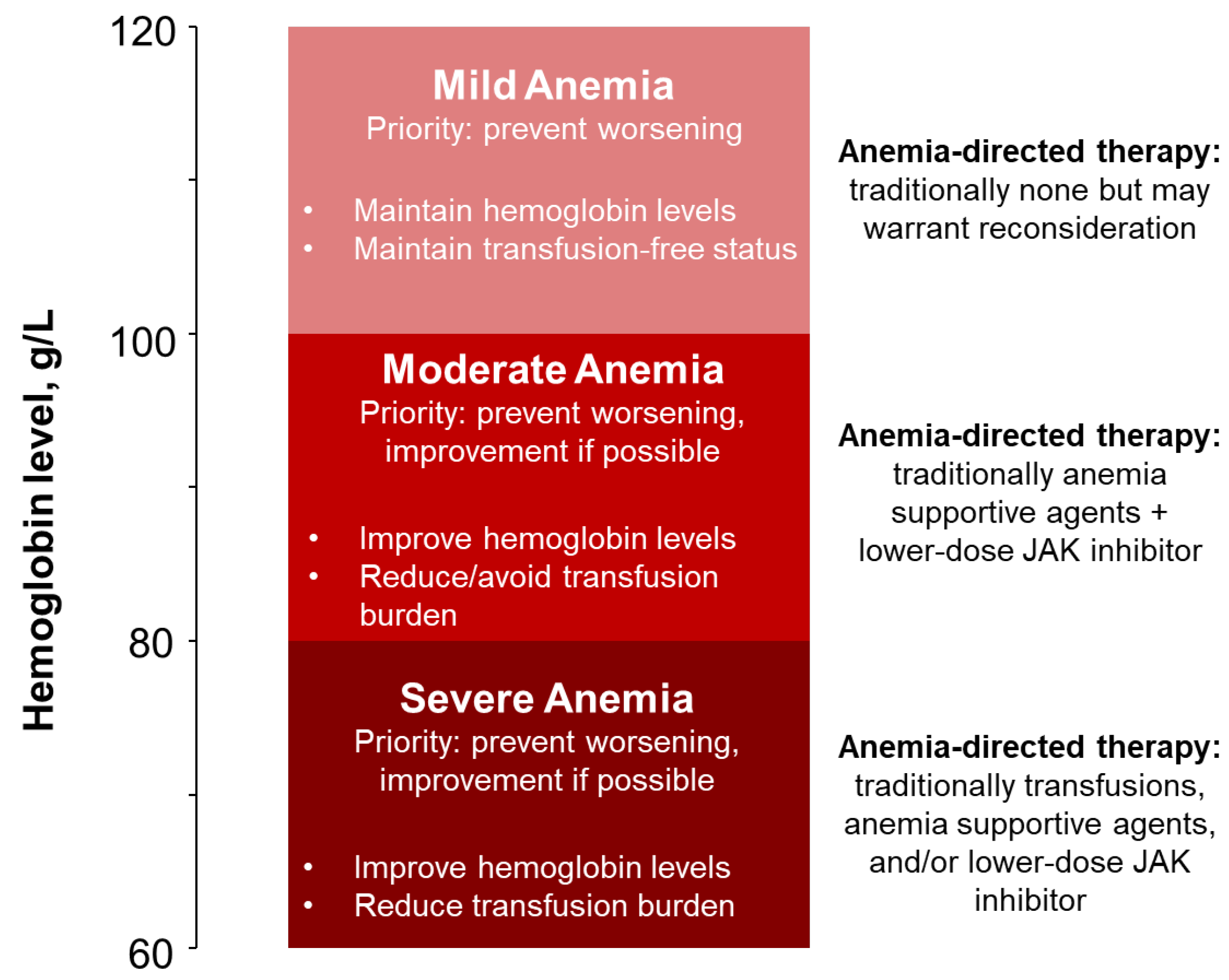 Cancers 16 04064 g001