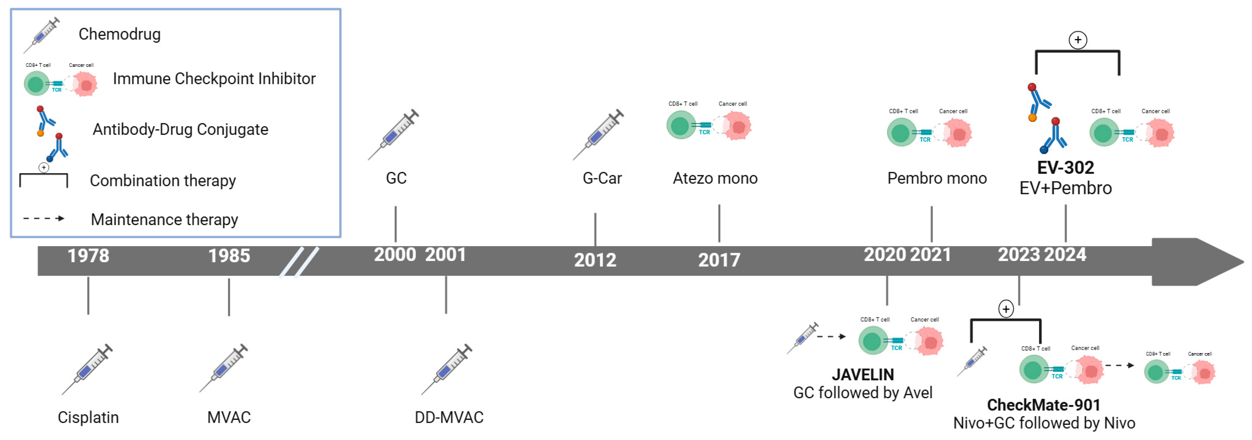 Cancers 16 04078 g001