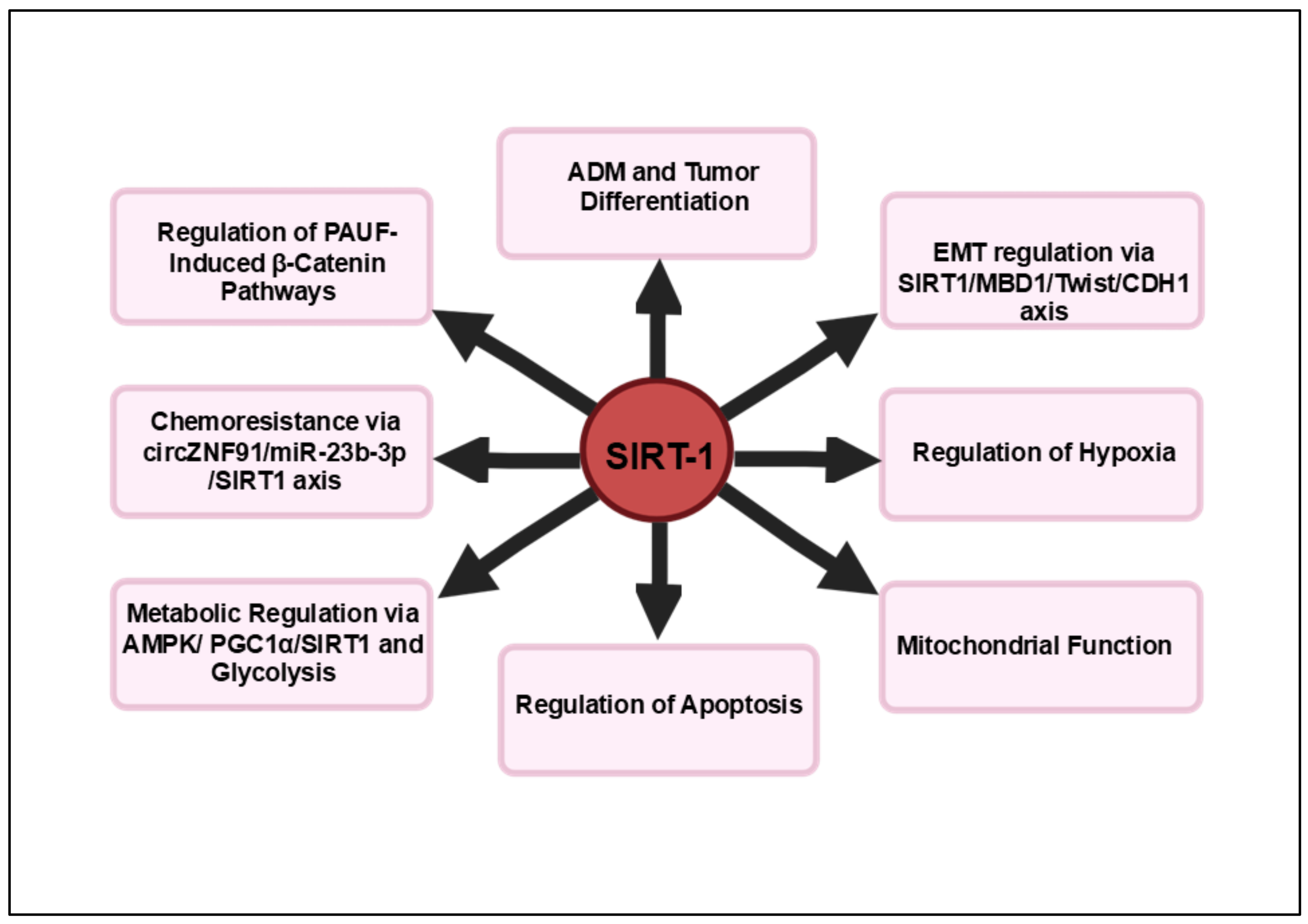 Cancers 16 04095 g001 Cancers 16 04095 g001