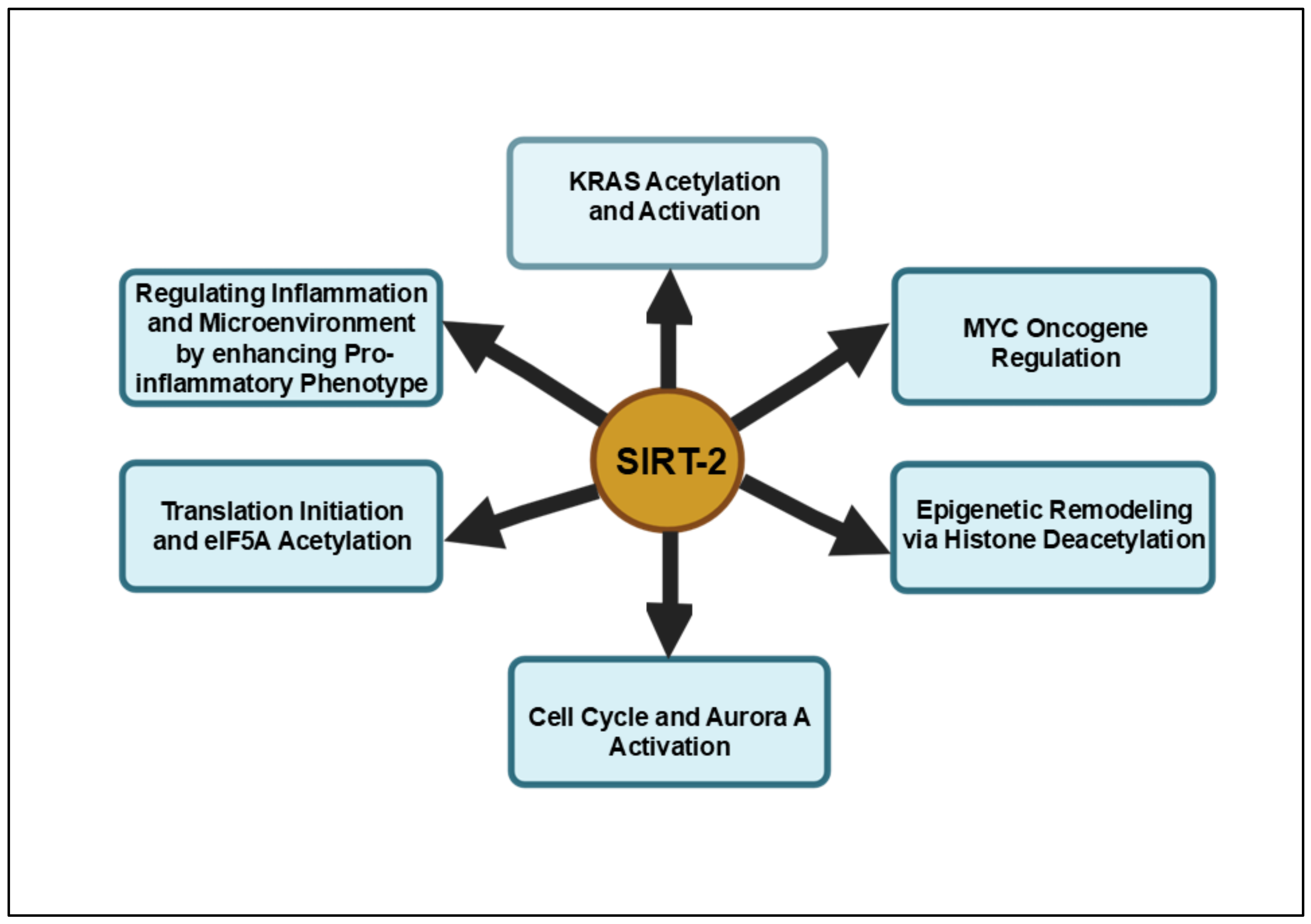 Cancers 16 04095 g002 Cancers 16 04095 g002
