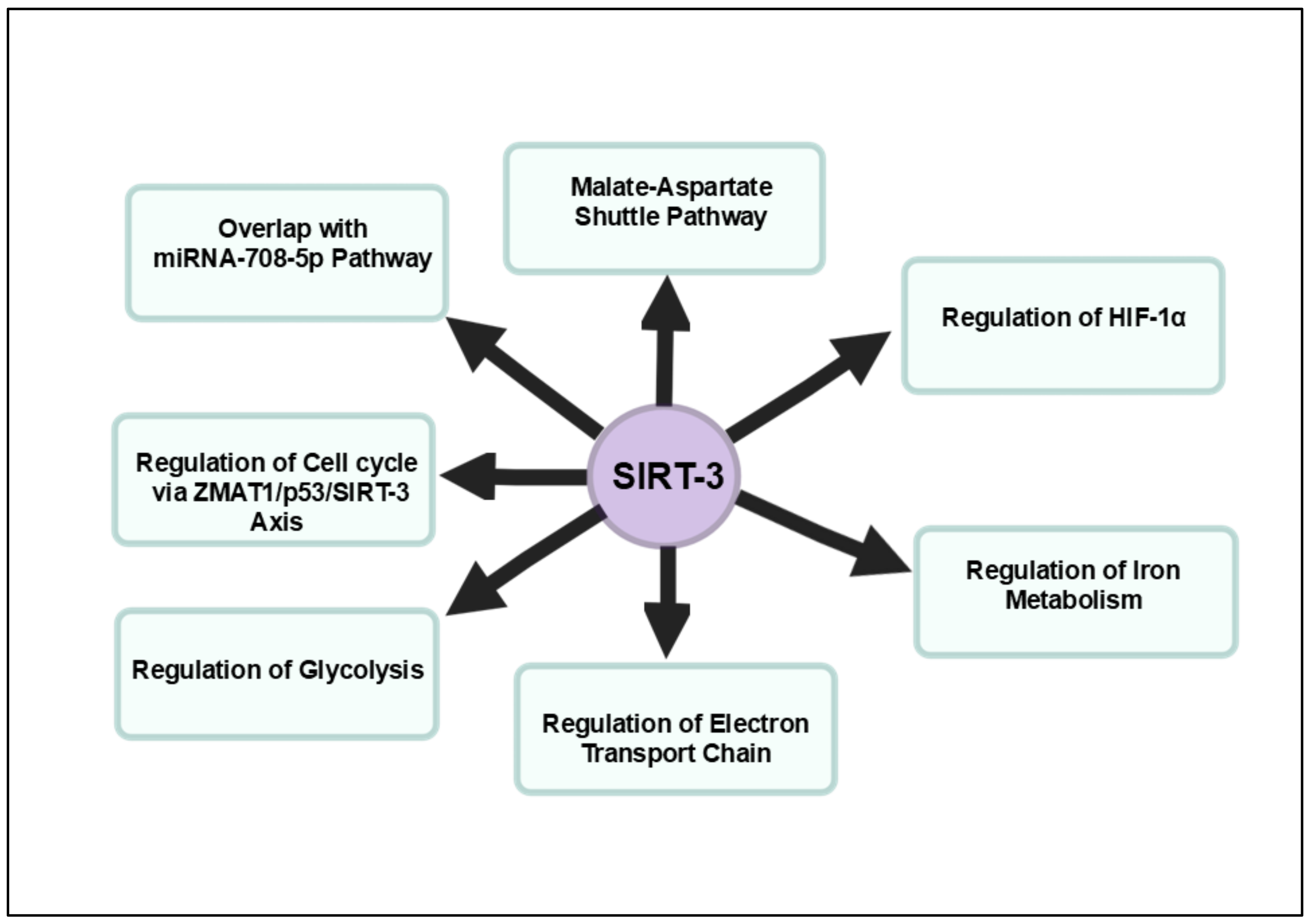 Cancers 16 04095 g003 Cancers 16 04095 g003