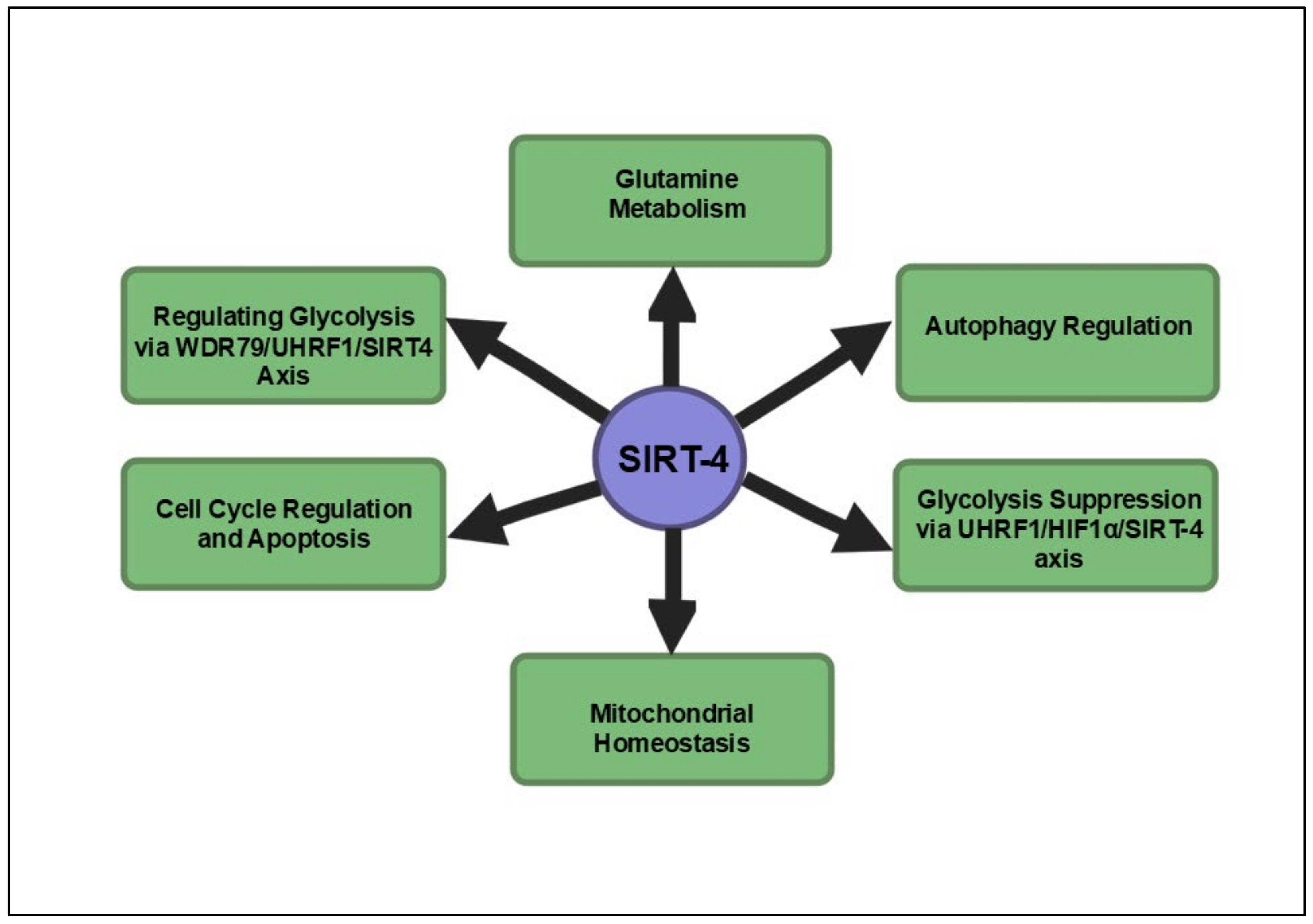 Cancers 16 04095 g004 Cancers 16 04095 g004