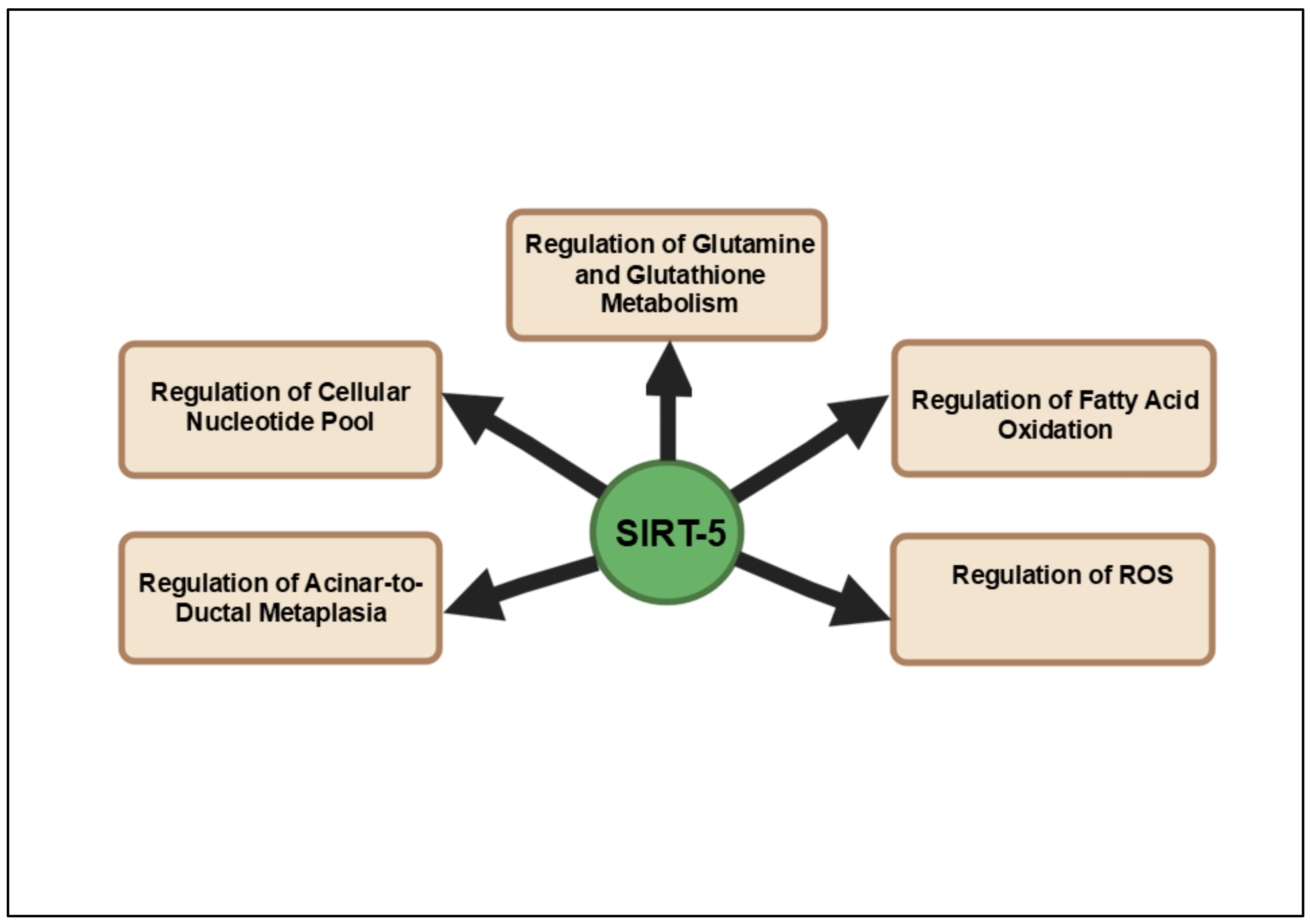 Cancers 16 04095 g005 Cancers 16 04095 g005
